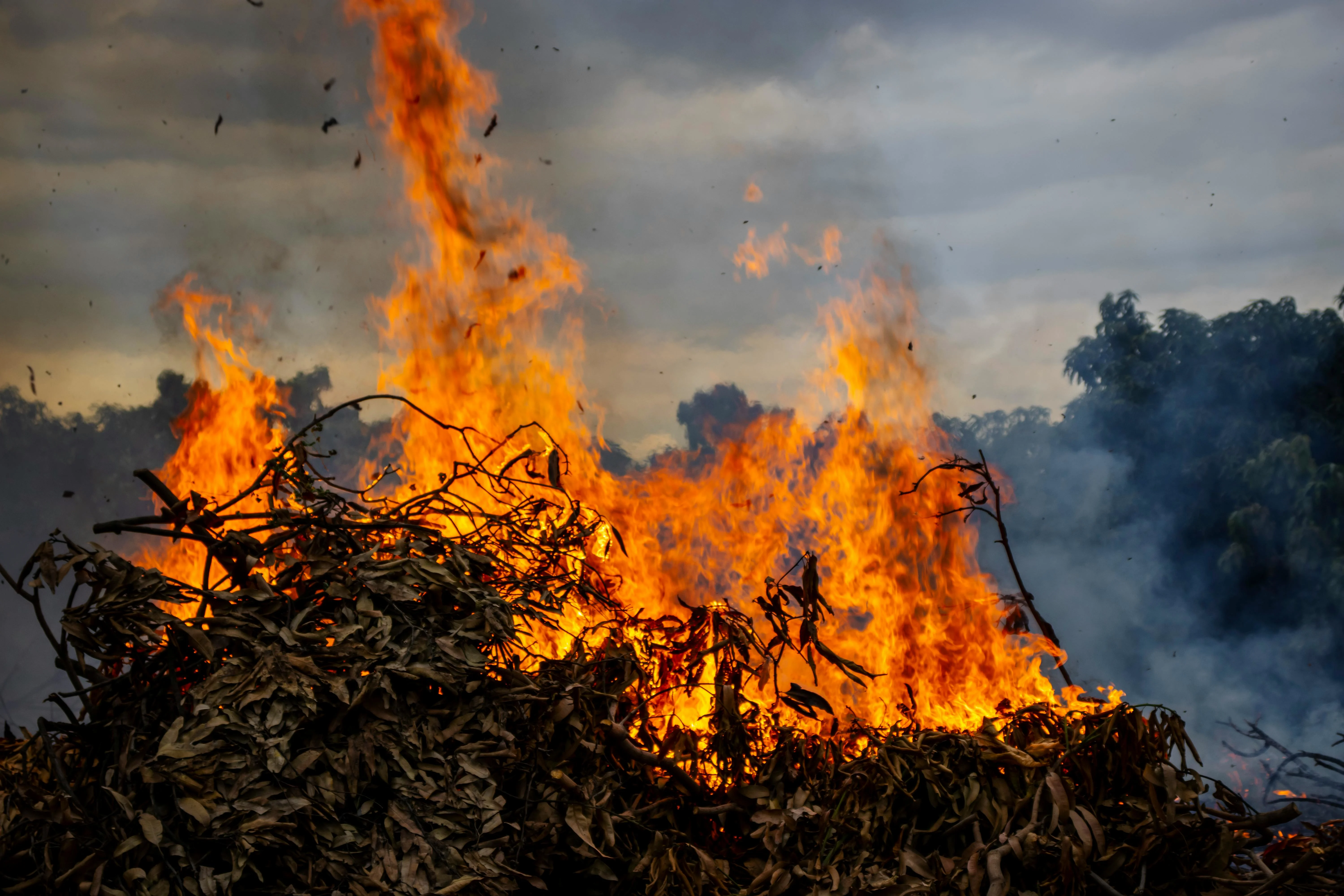 Chiang Mai Burning Season: What to Know Before You Book