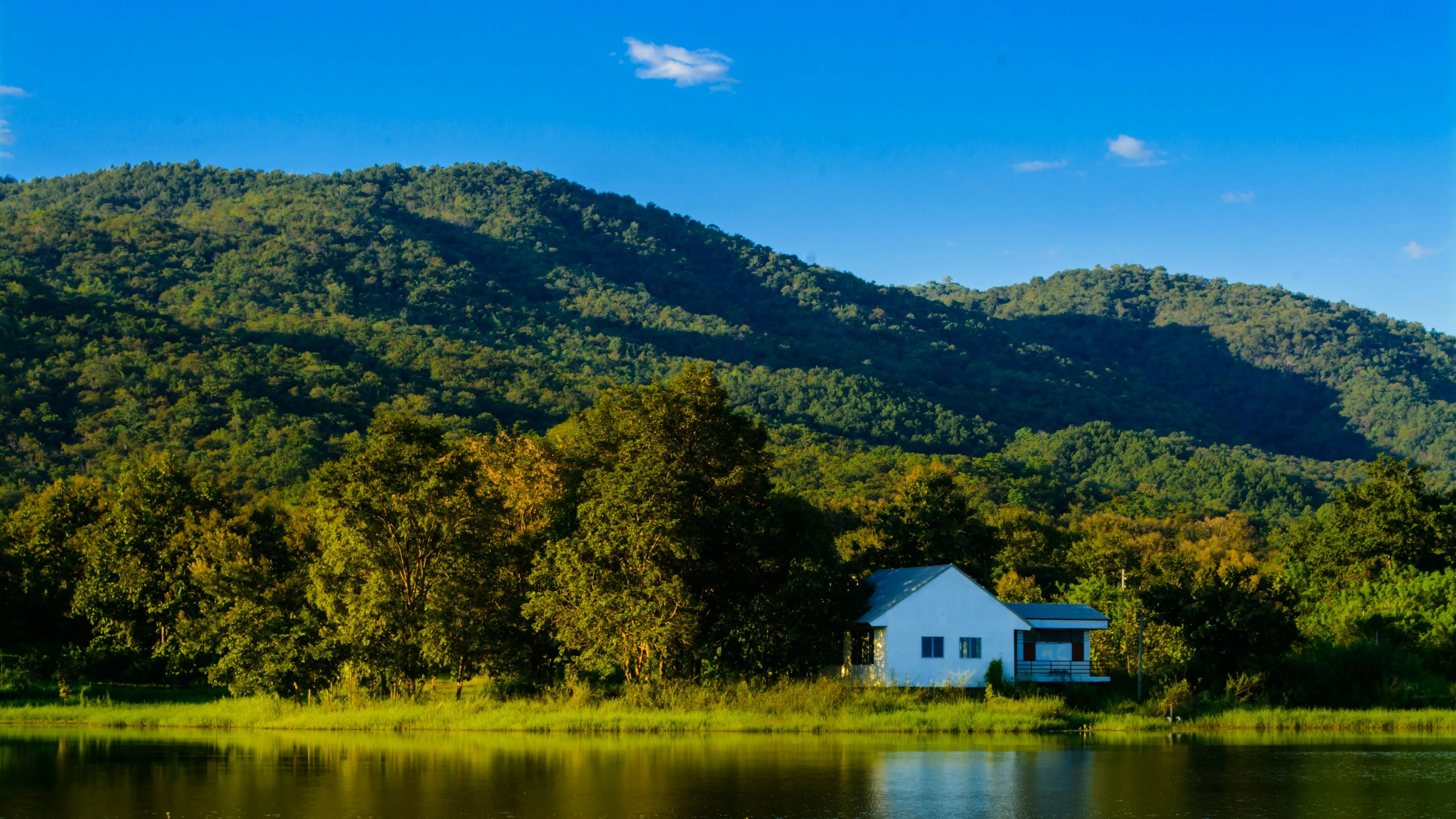 Using a Thai Company to Buy Land: What the Rules Actually Say