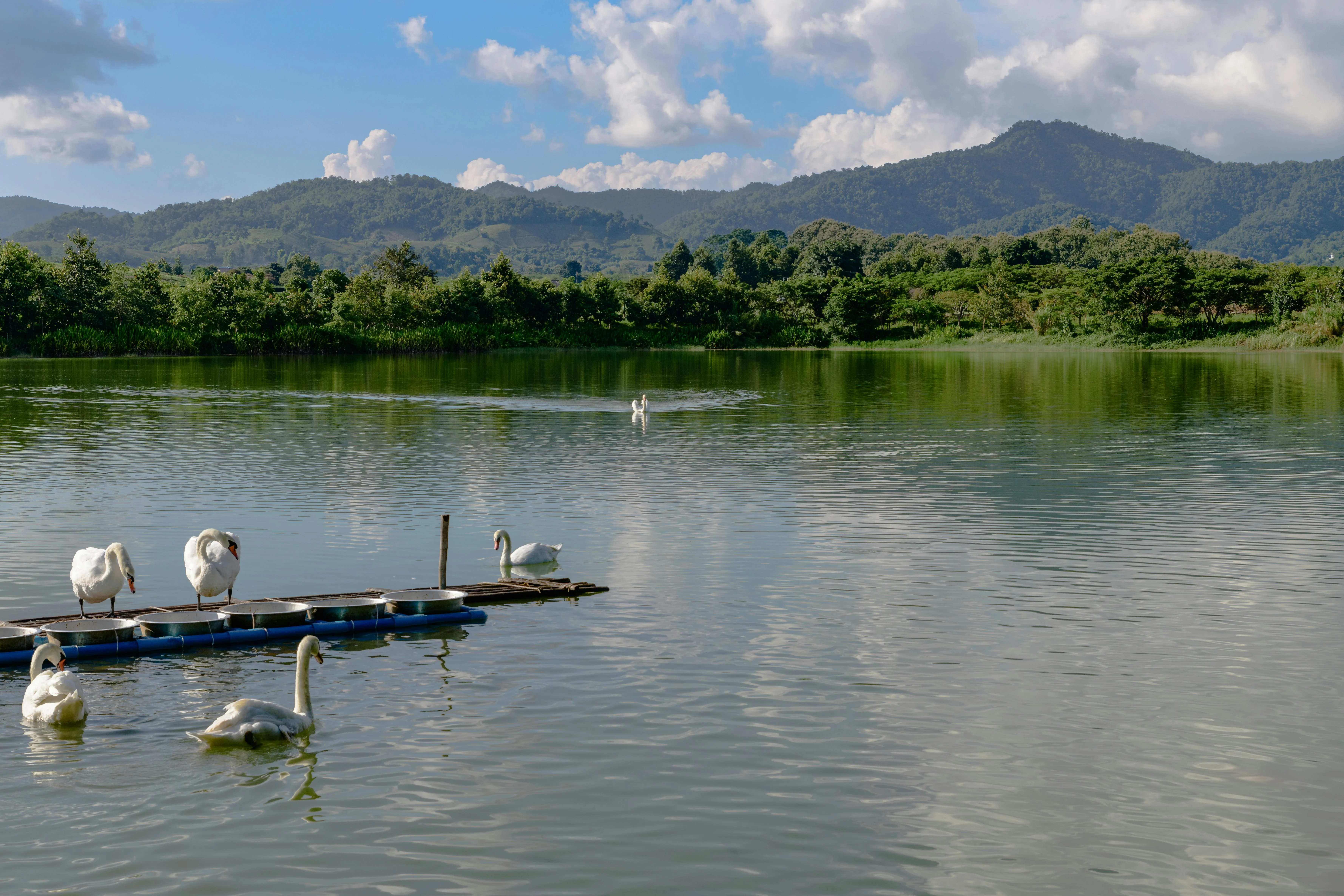 Mueang Chiang Rai, จ.เชียงราย, Thailand