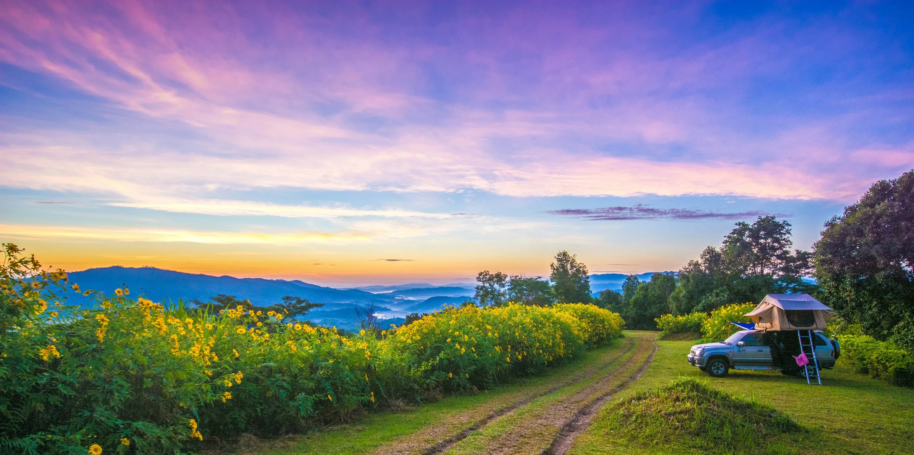 Doi Hua Mae Kham, Mae Salong Nai, Thailand