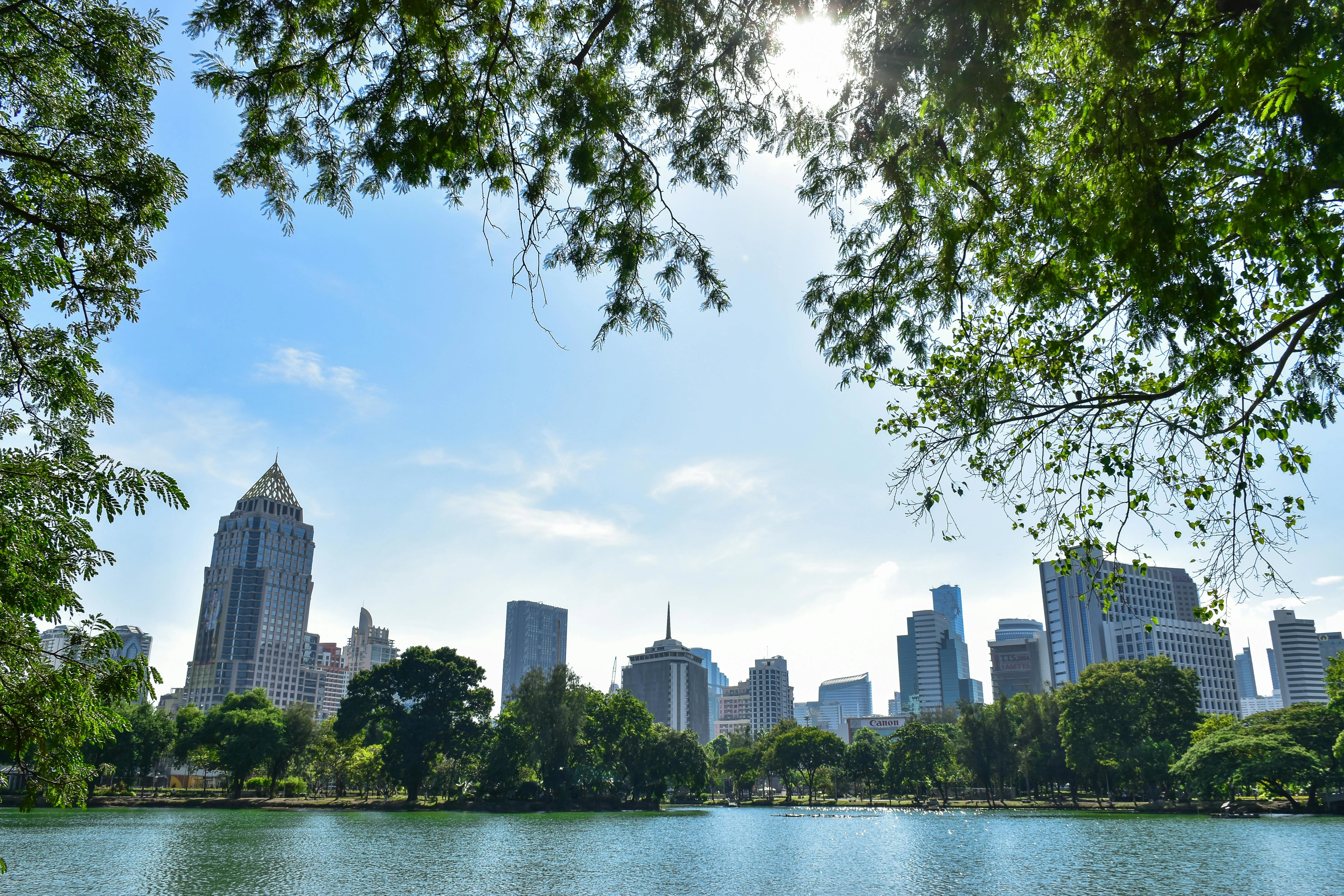 Scenic view of Bangkok's skyline from a park with lake and trees during daytime. More info Share