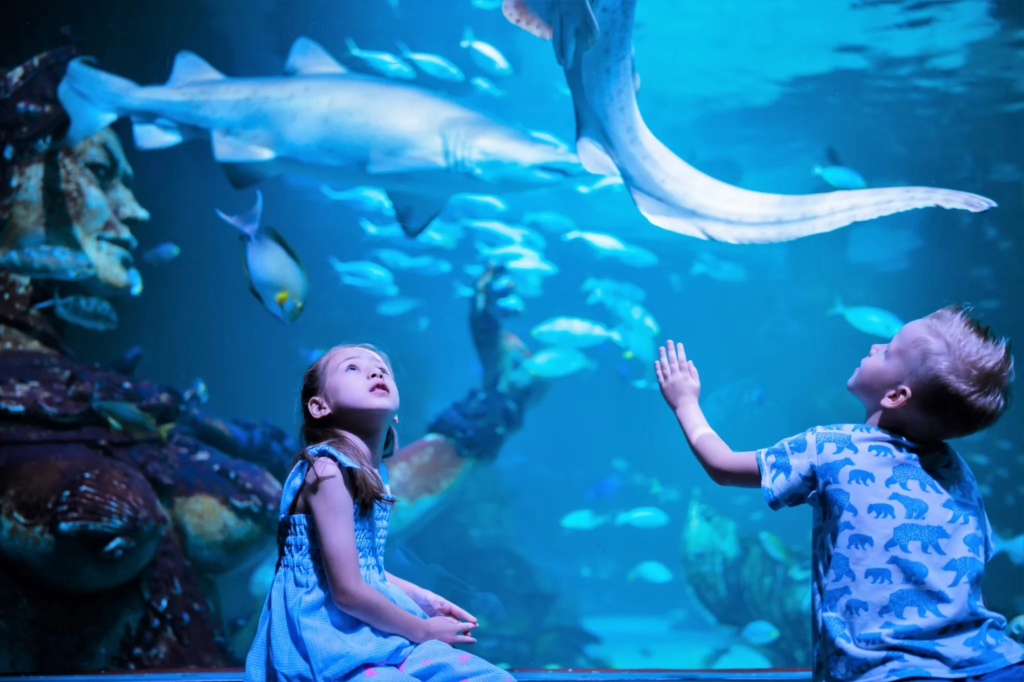 Aquaria Phuket