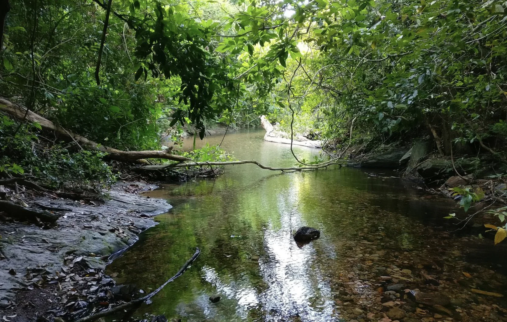 Khlong Chak Waterfall