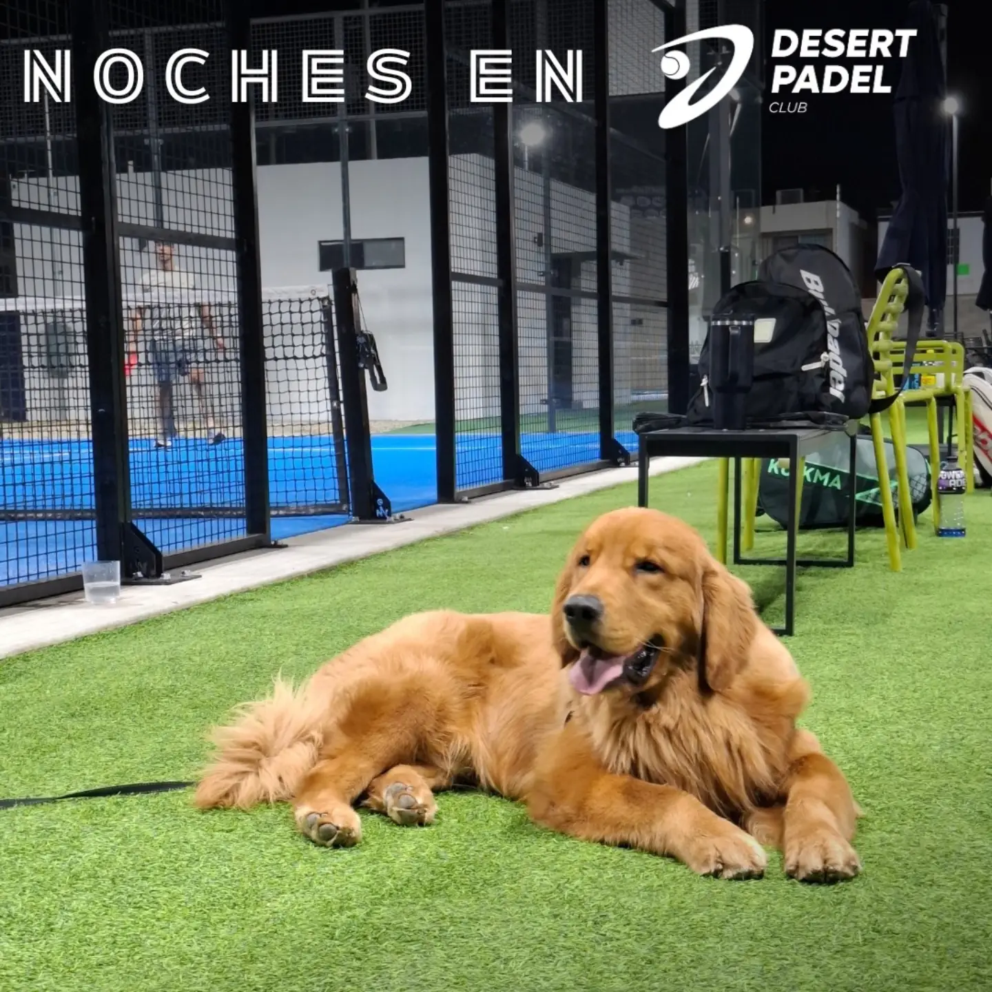 Desert Padel Club