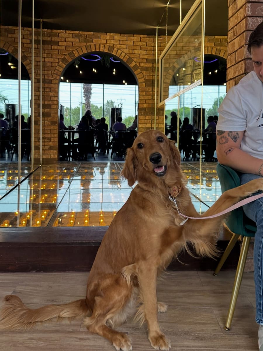 Minerva Draft House-gallery-7