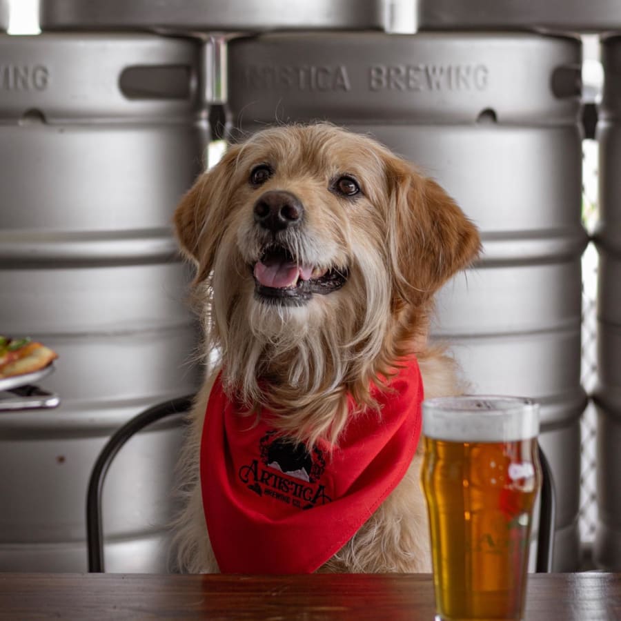 Artistica Brewing Co-gallery-5