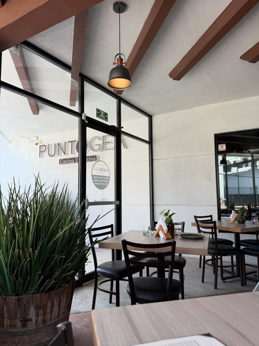 Punto GEA-gallery-1