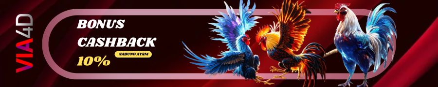 BONUS CASHBACK 10% (SABUNG AYAM)