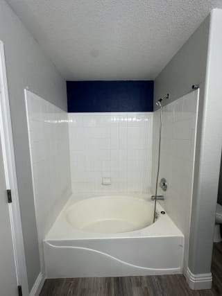 Before thumbnail for Tub-to-Shower Conversion