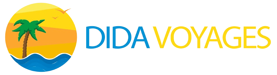dida_voyage-removebg-preview