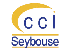cci-seybouse-removebg-preview