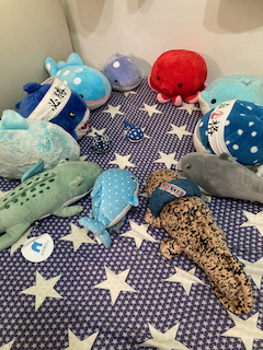 two-little-fish-surrounded