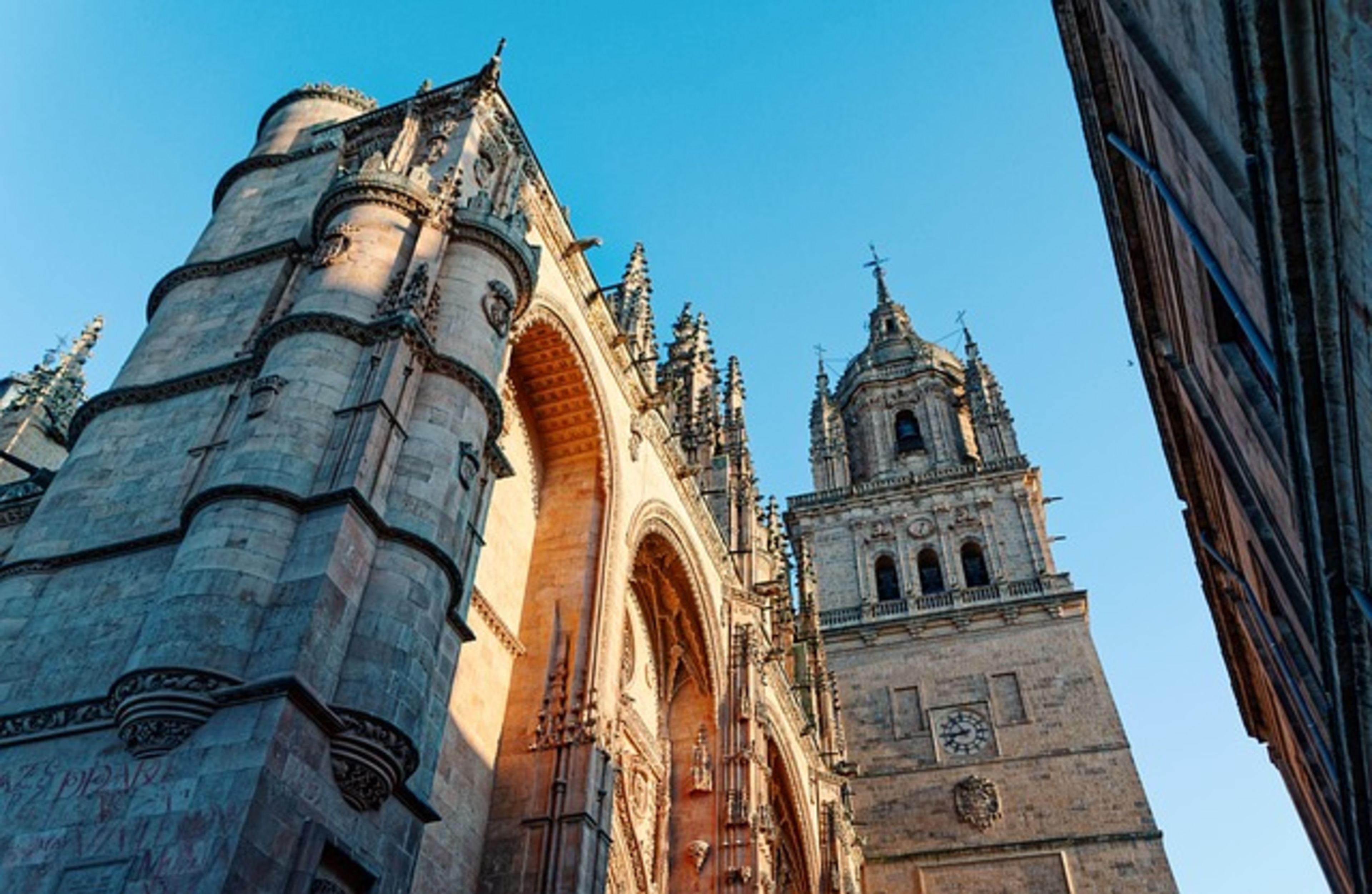 Salamanca Market (Saturday)