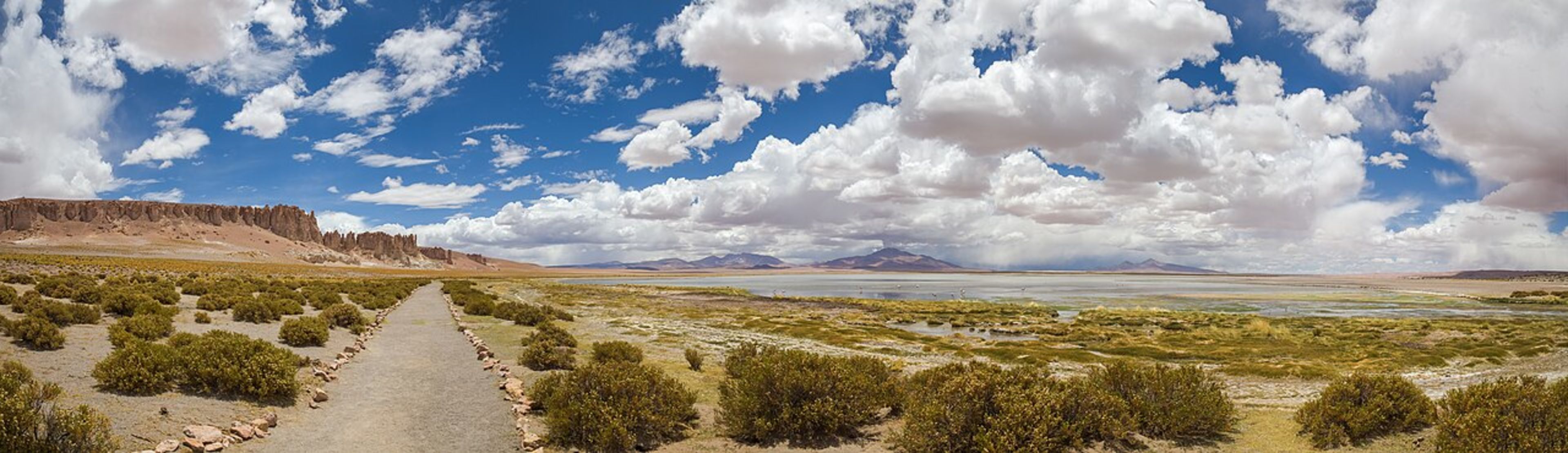 Salar de Atacama (Salt Flat & Flamingos)
