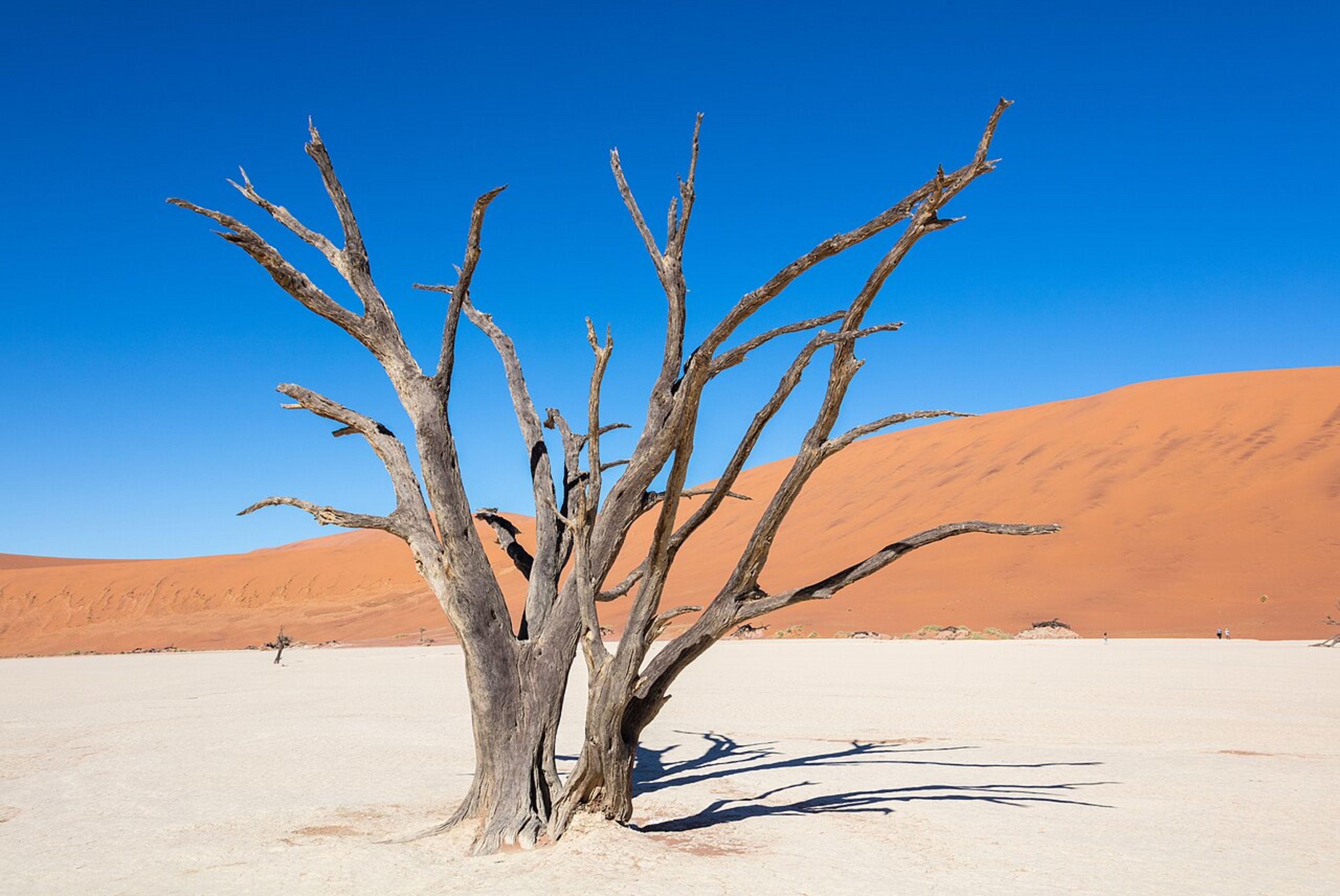 Sossusvlei