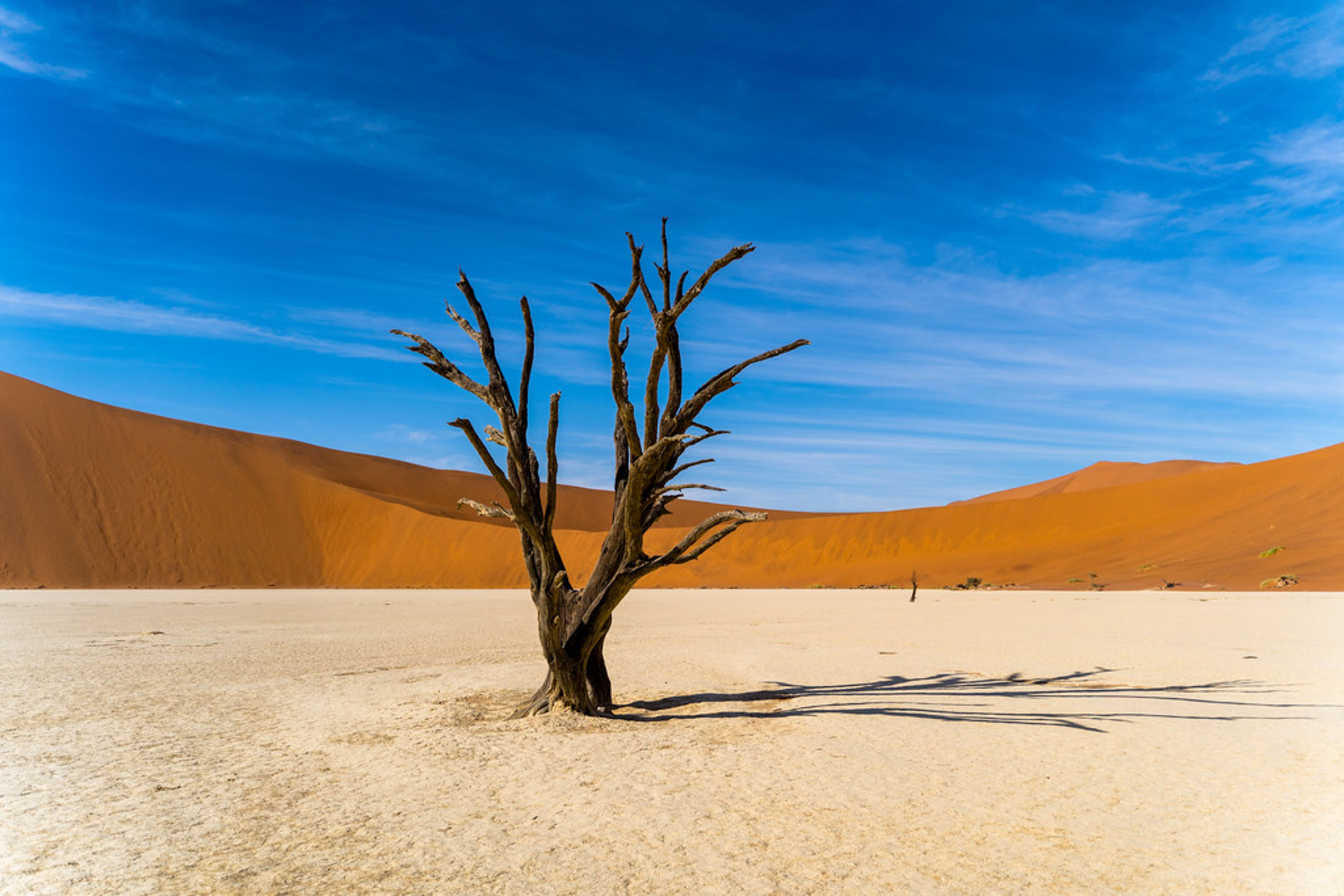 Deadvlei (Dead Trees & White Clay Pan)