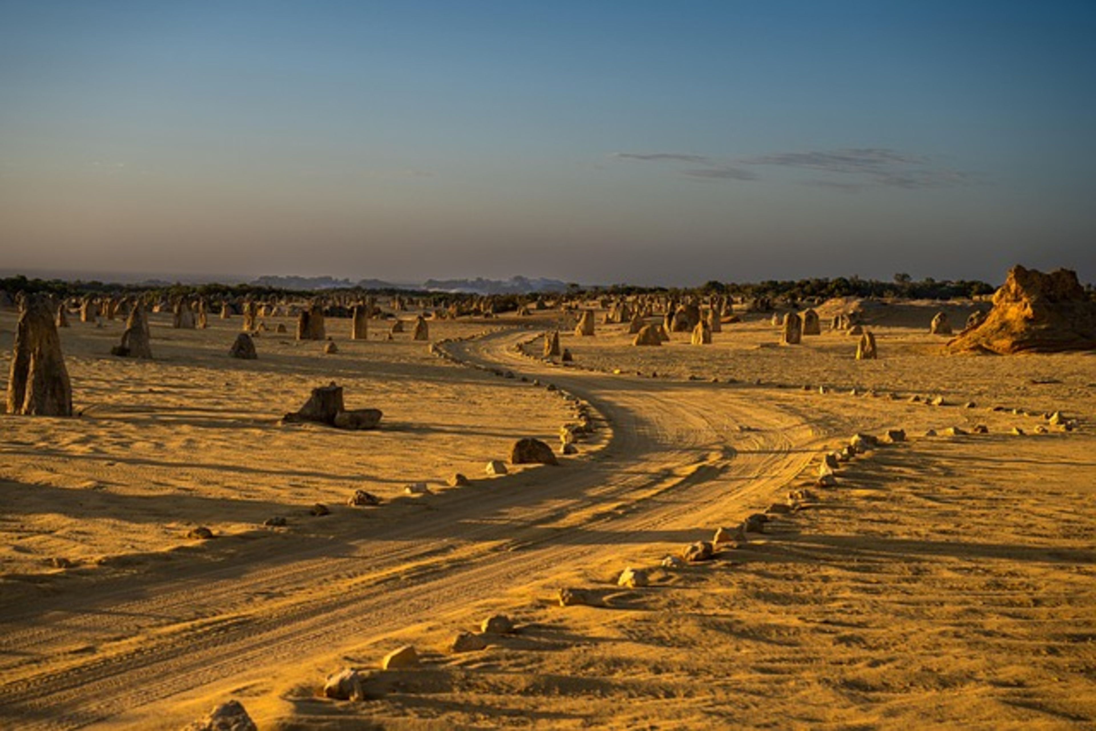 Pinnacles Desert (day trip)