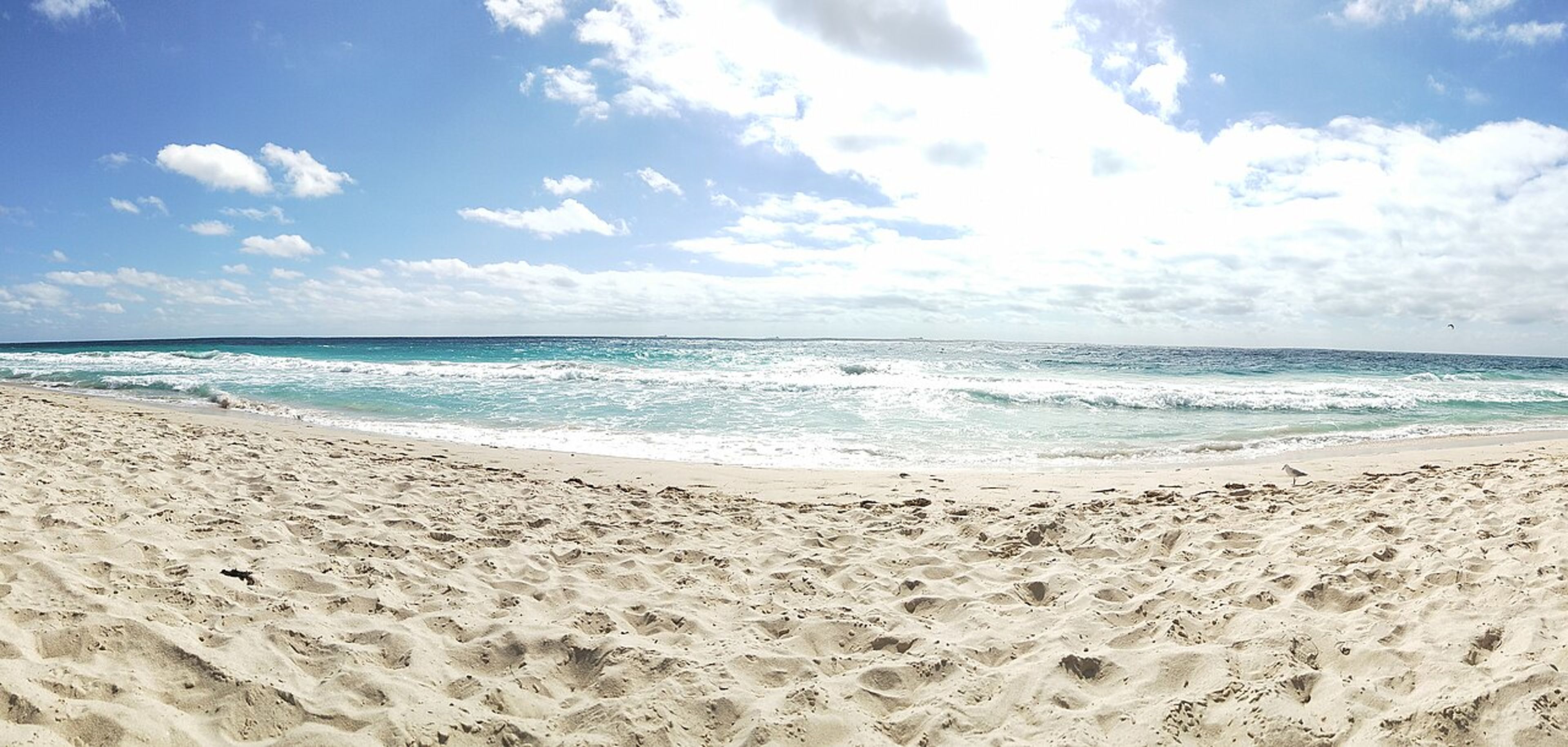 Scarborough Beach