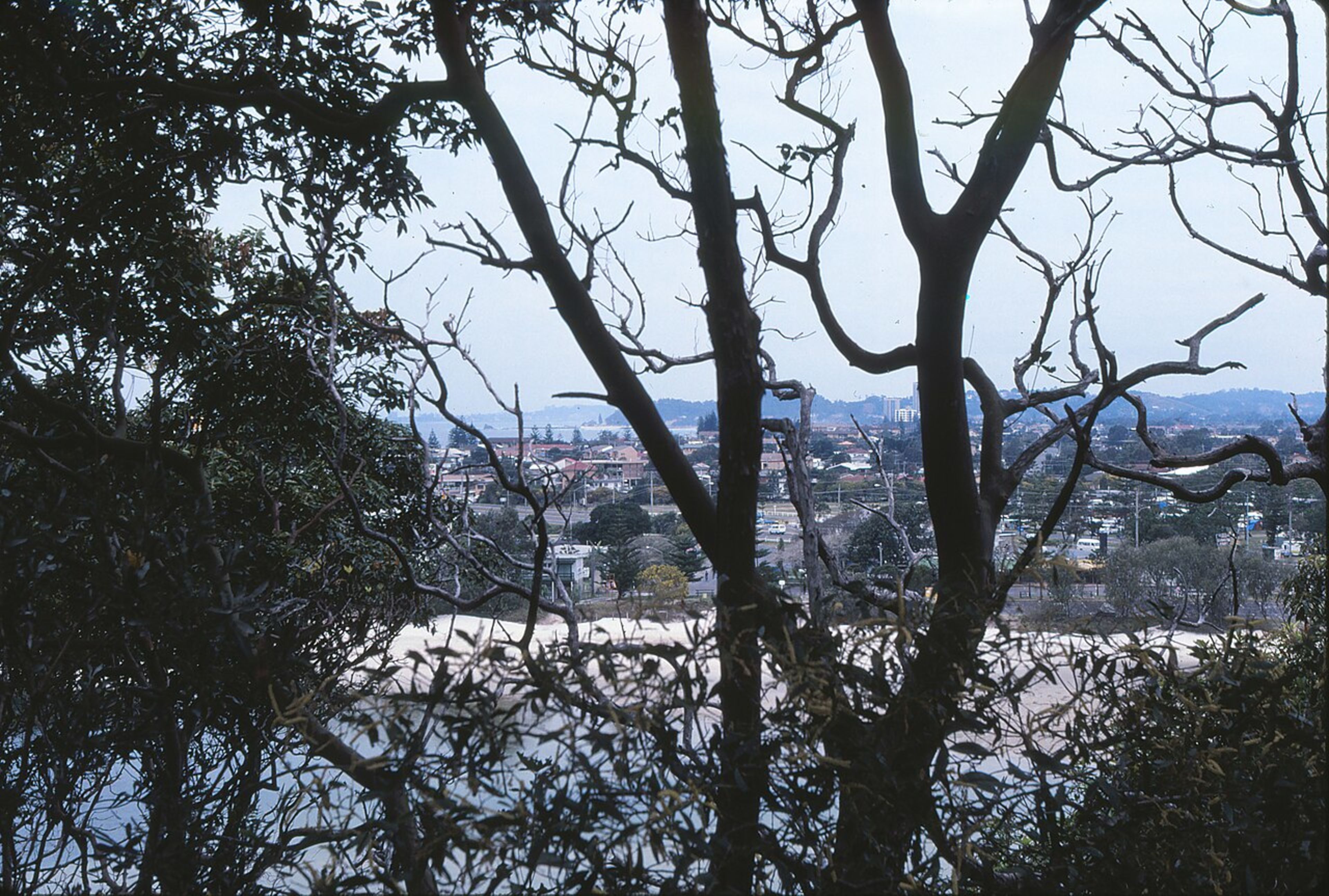 Burleigh Heads Beach & National Park
