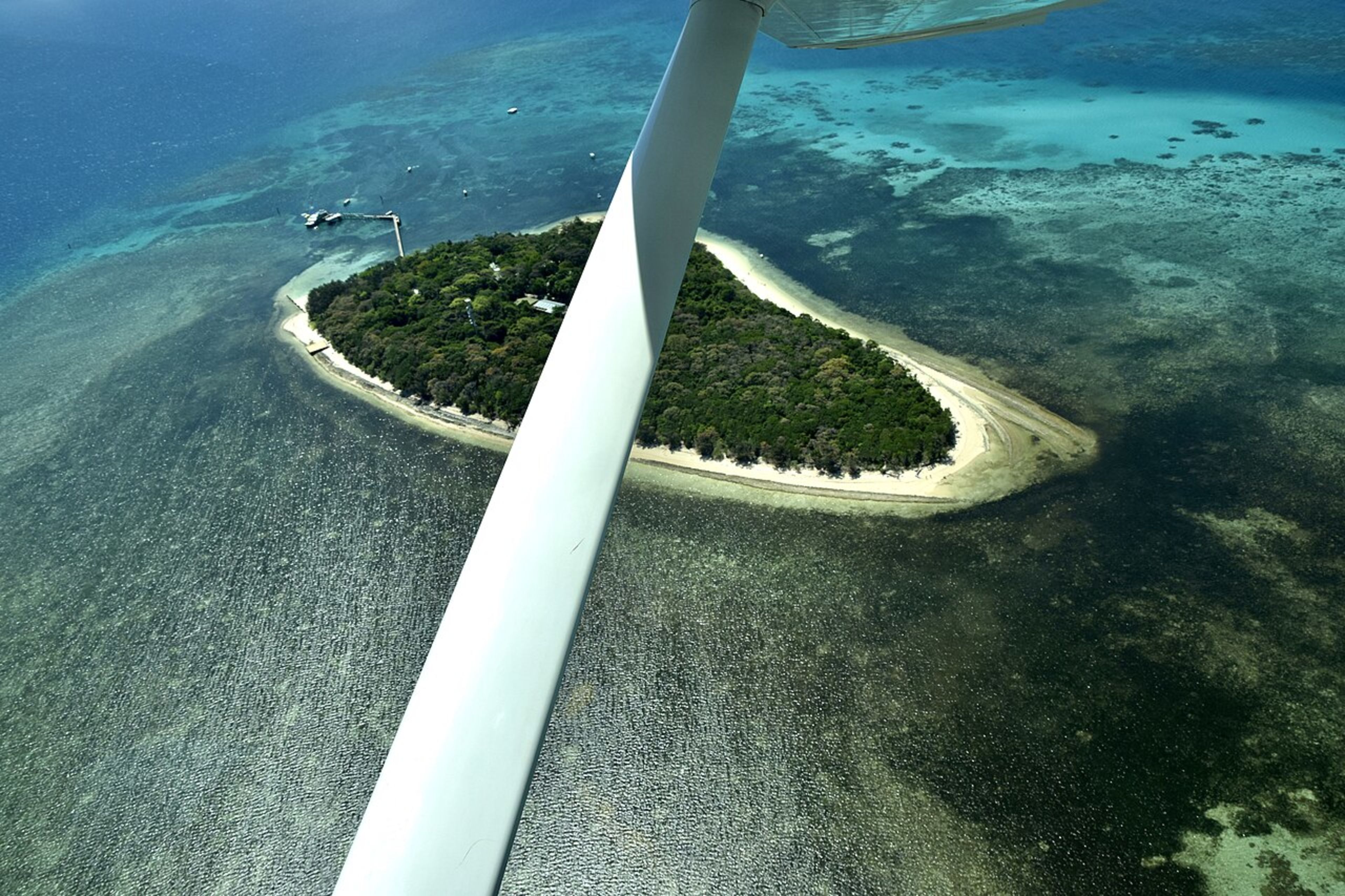 Great Barrier Reef (Snorkeling / Diving)