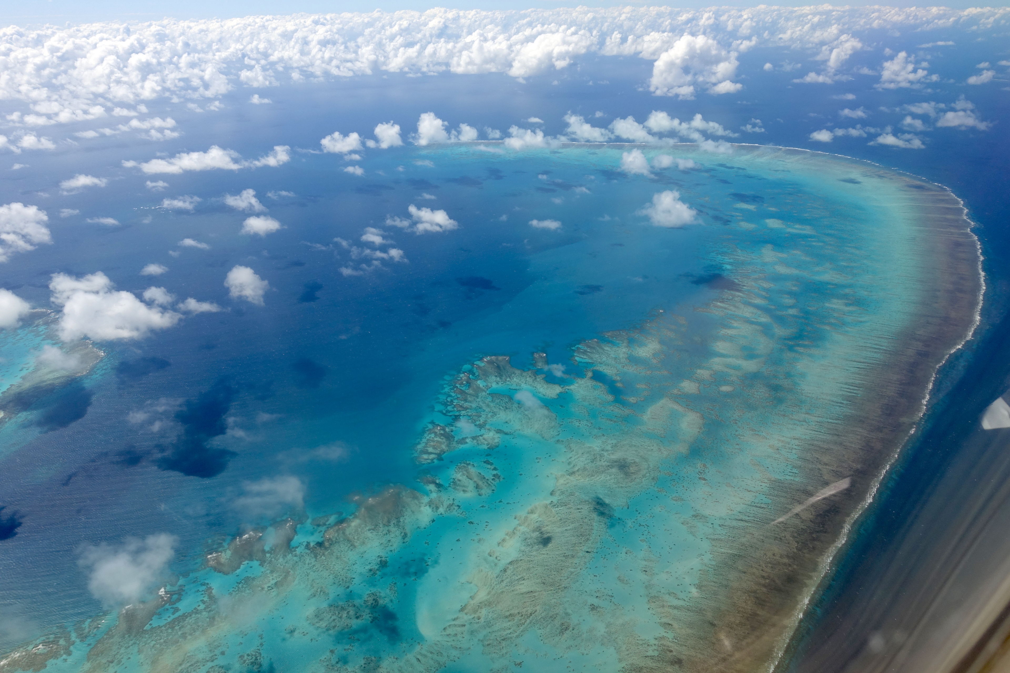 Great Barrier Reef (Snorkeling / Diving)