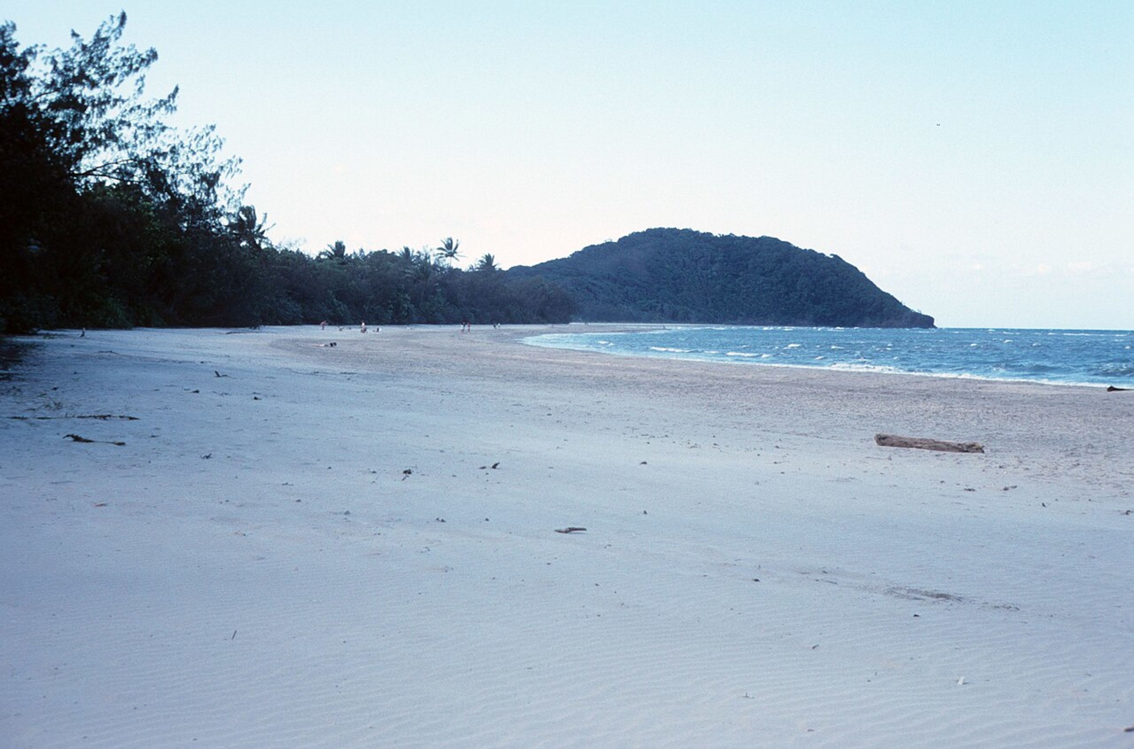 Cape Tribulation (Daintree NP)