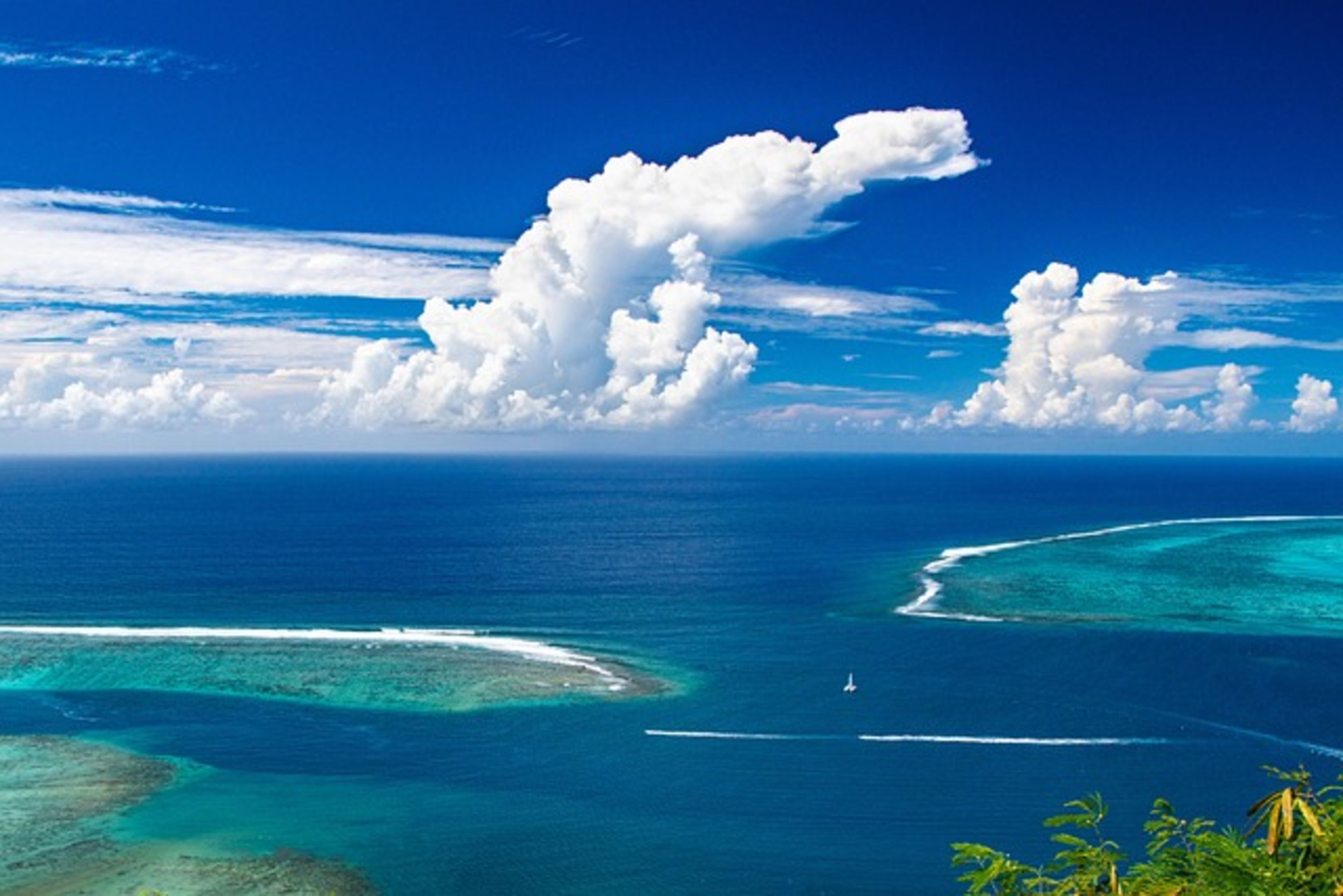 Cook's Bay