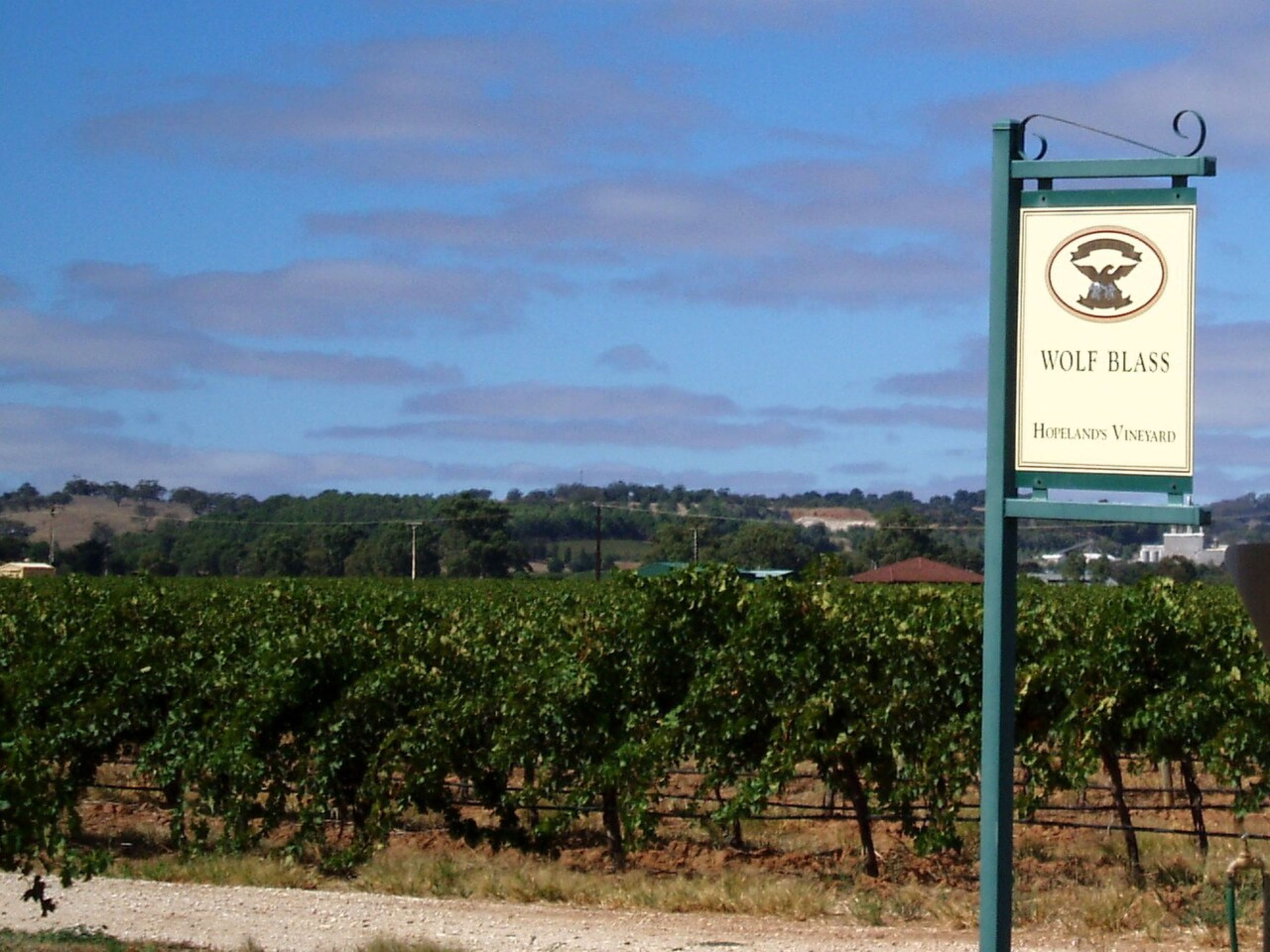 Barossa Valley Wine Region (day trip)