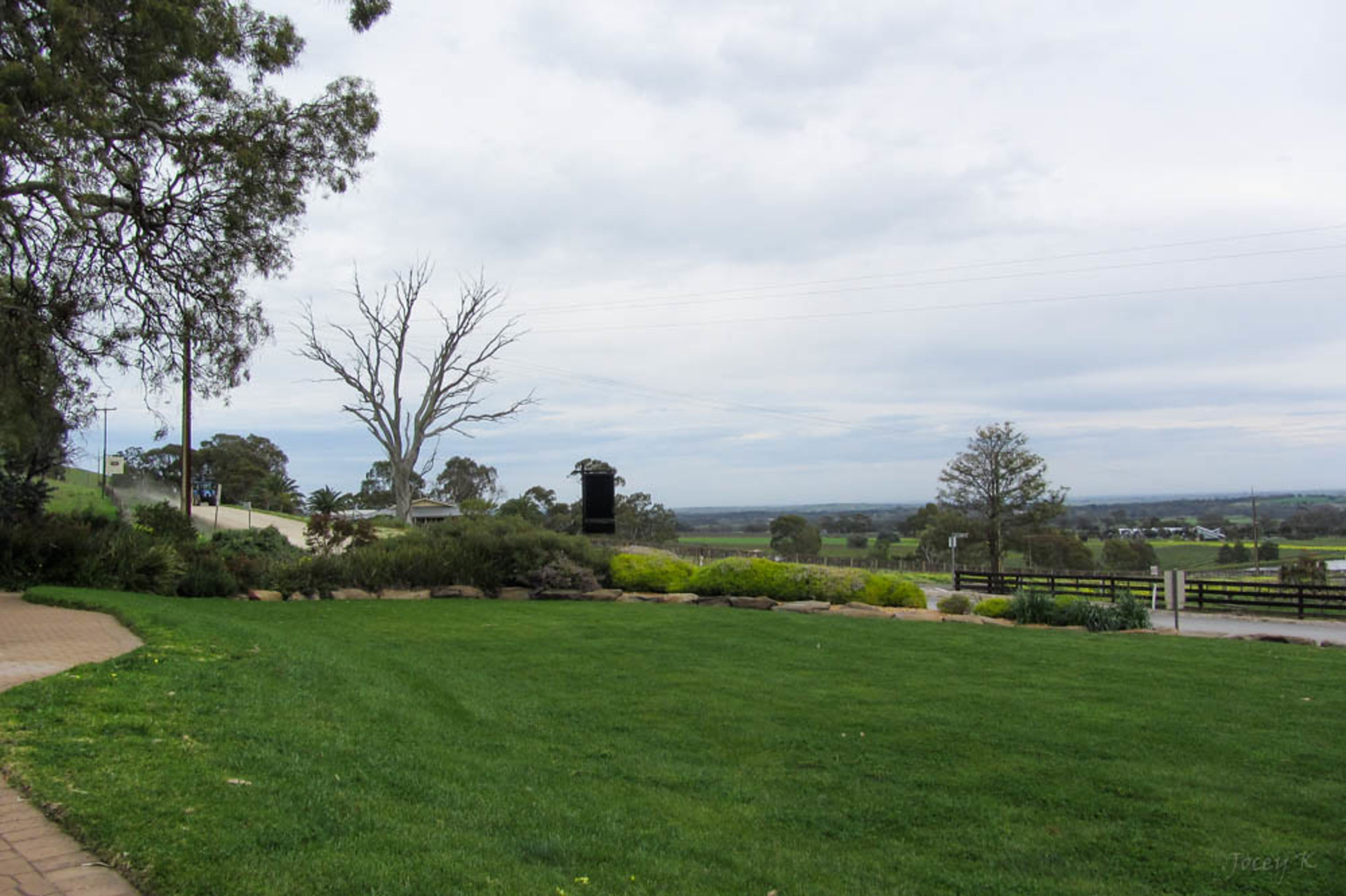 Barossa Valley Wine Region (day trip)