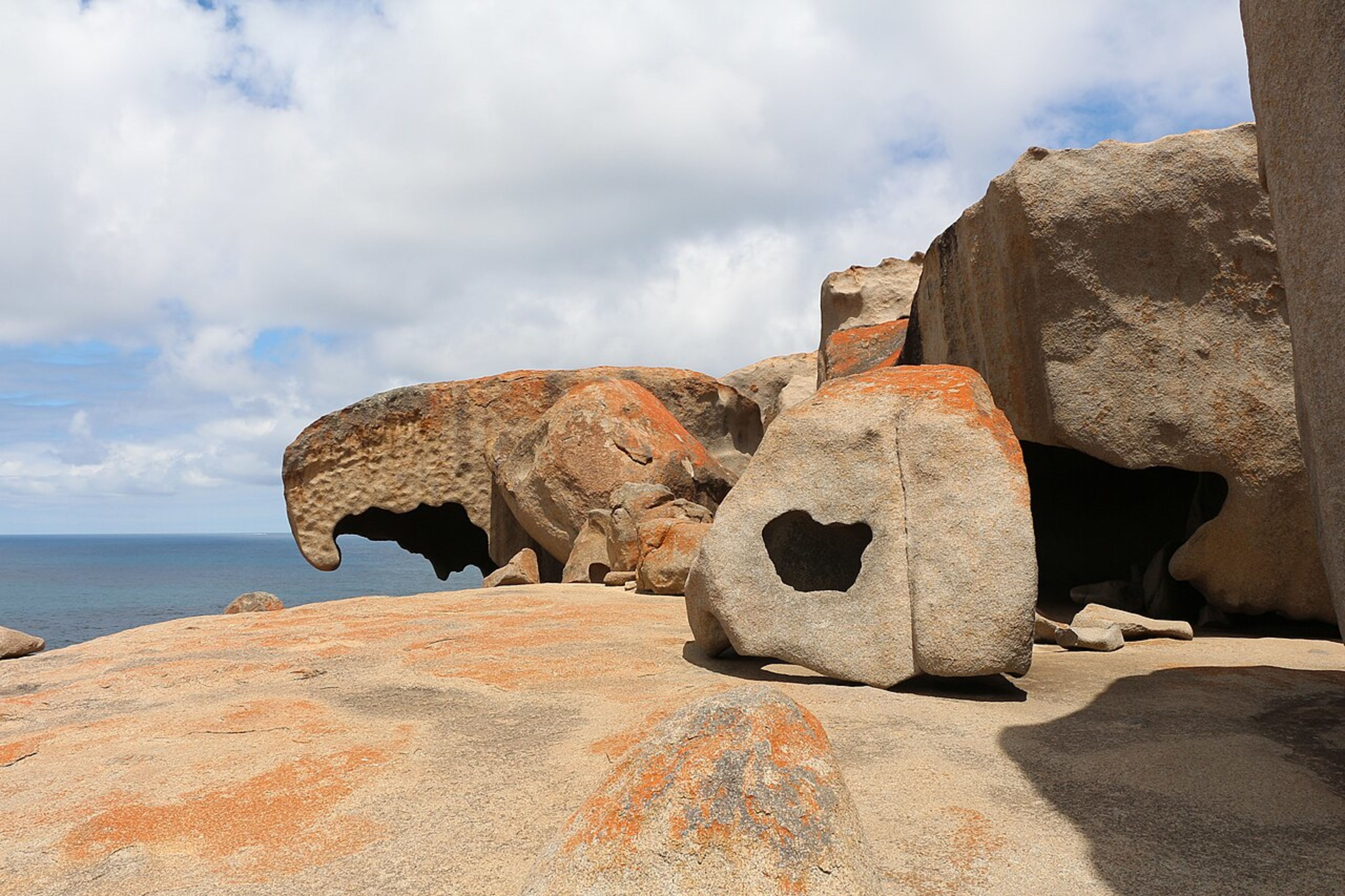 Kangaroo Island (overnight trip)