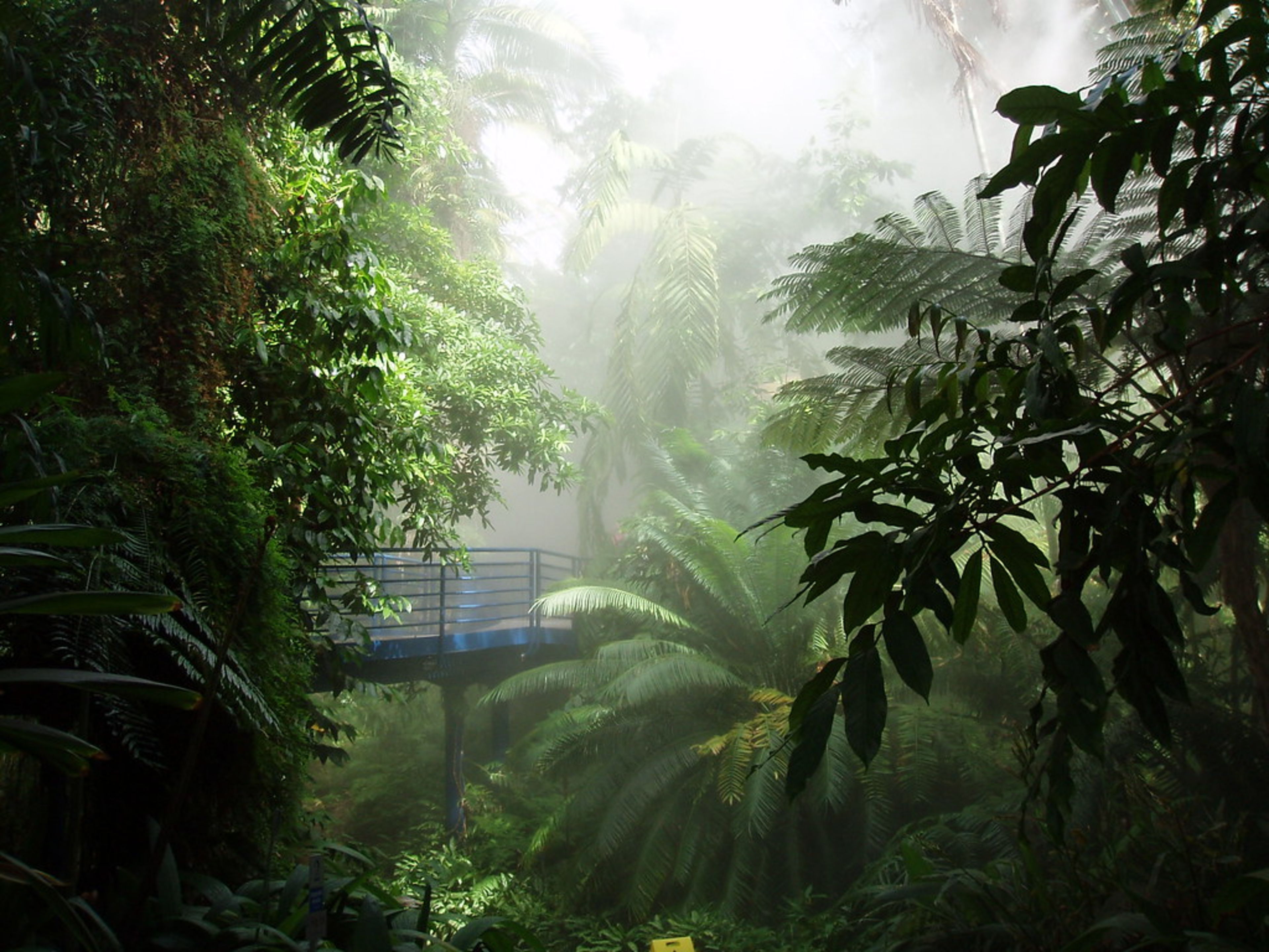 Adelaide Botanic Garden