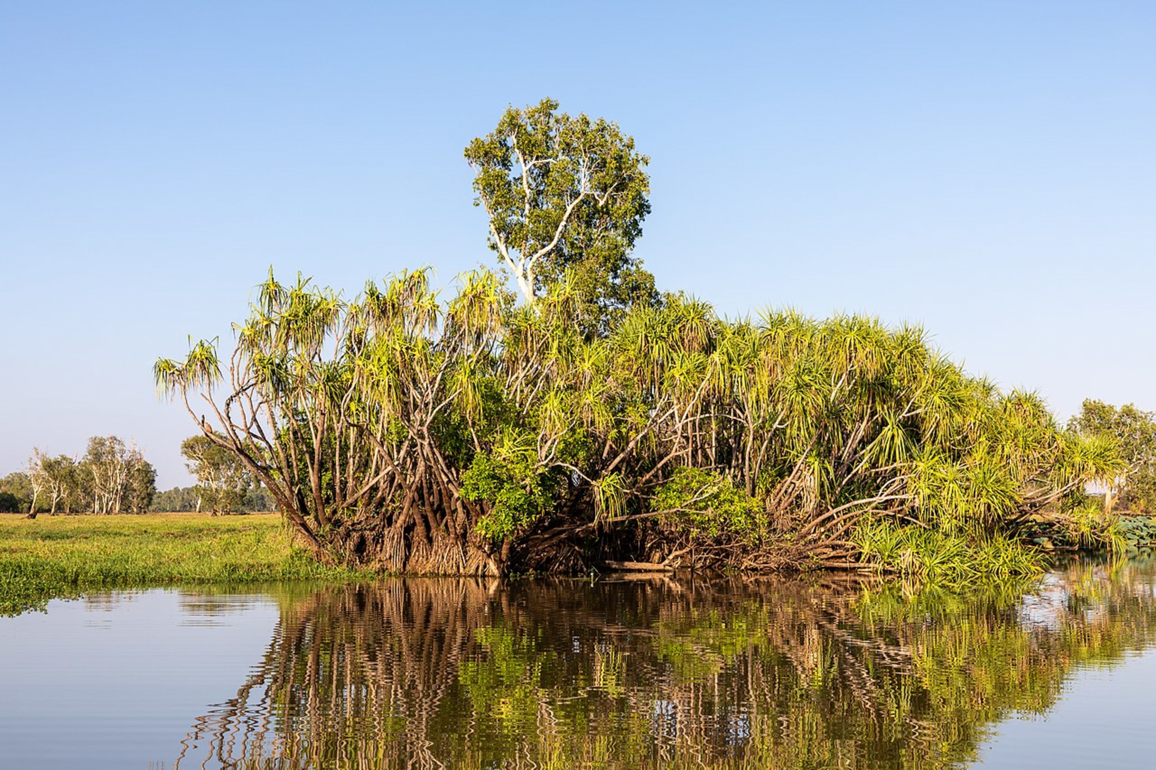 Kakadu National Park (day/overnight trip)