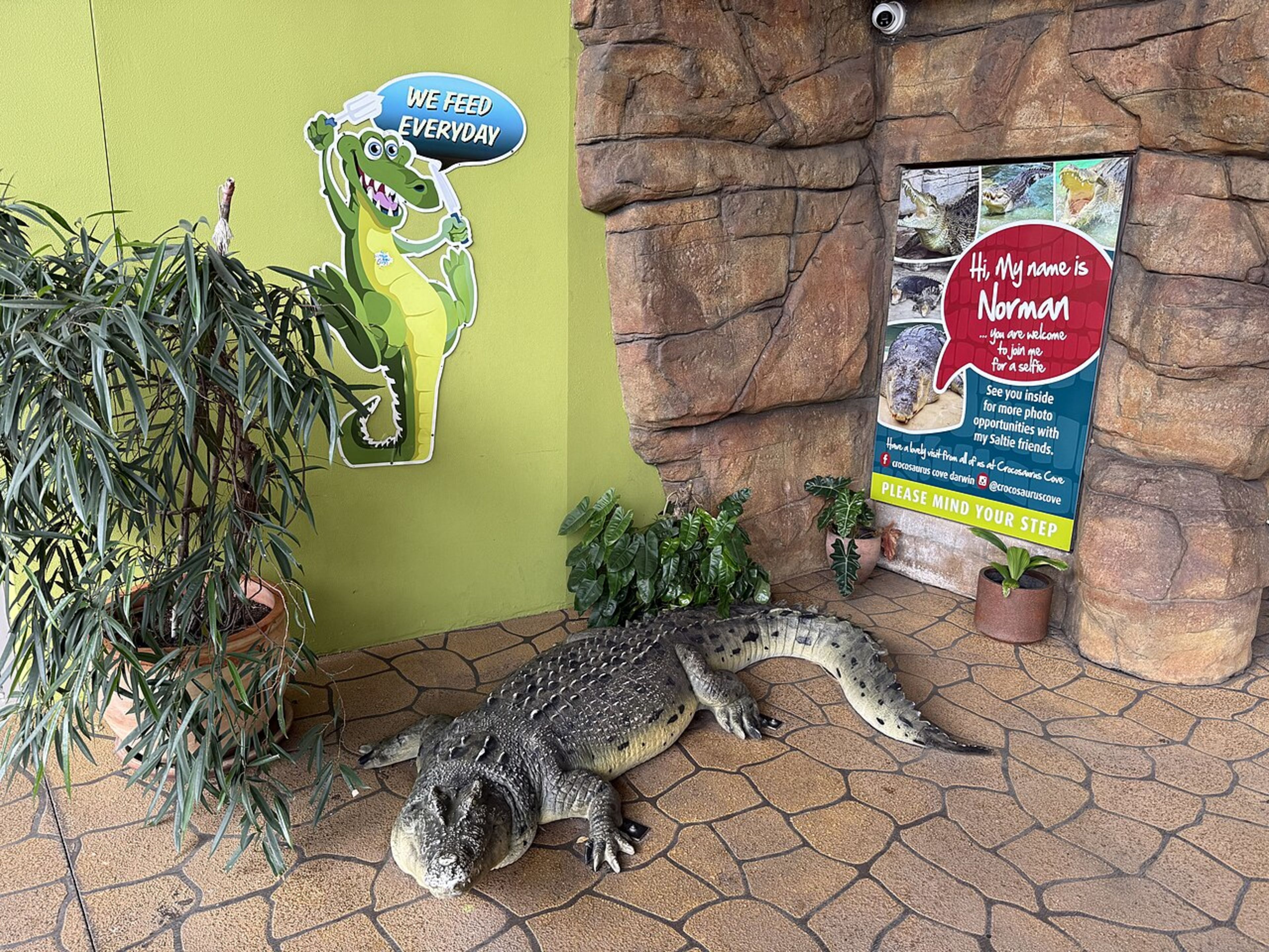 Crocosaurus Cove