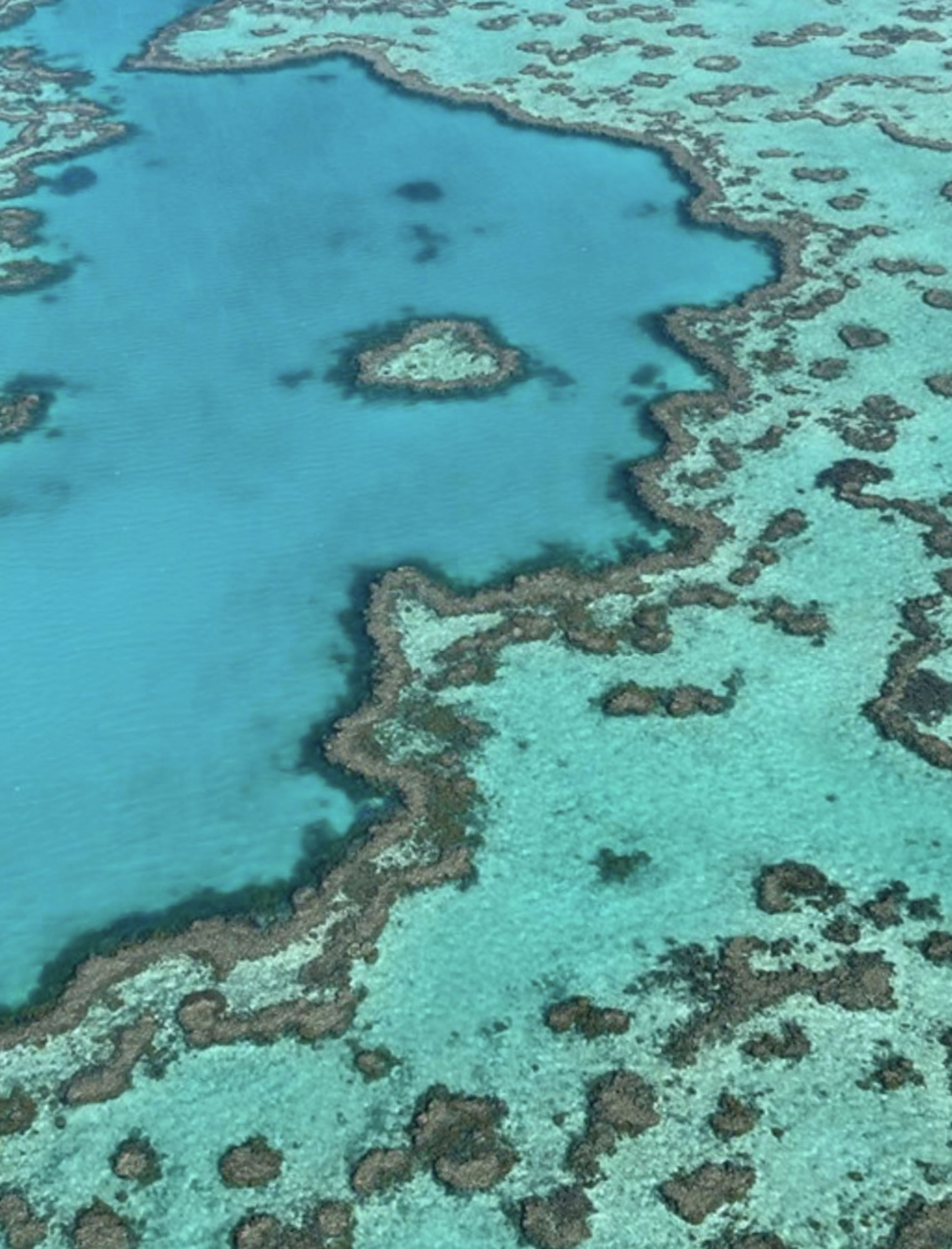 Heart Reef (Scenic Flight)