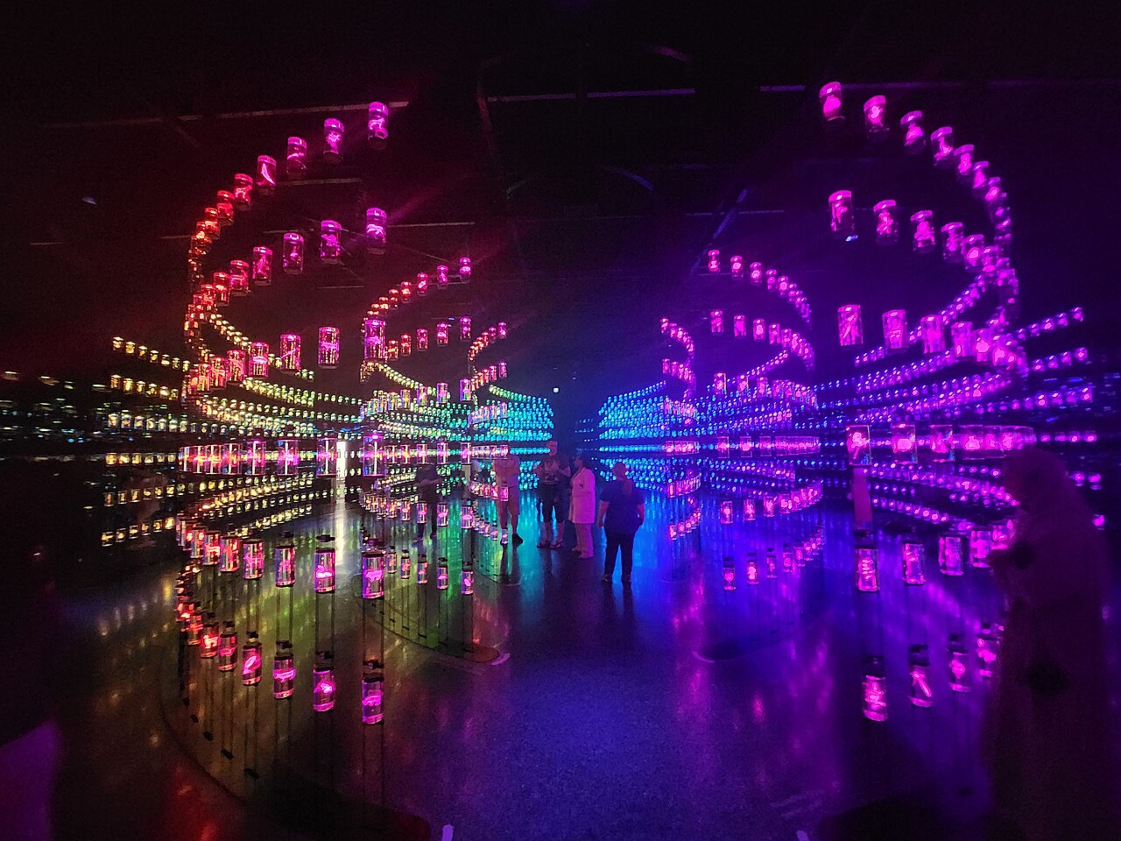 Museum of the Future