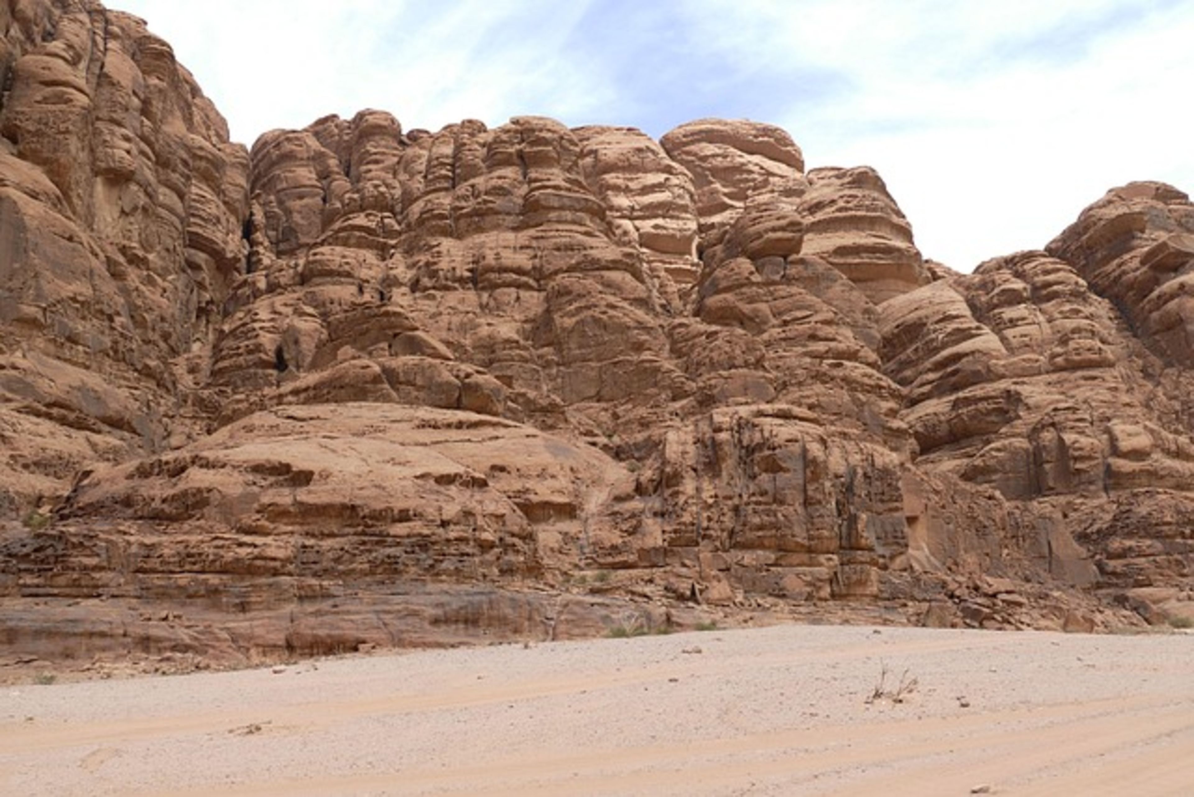 Wadi Hanifah (Green Corridor)