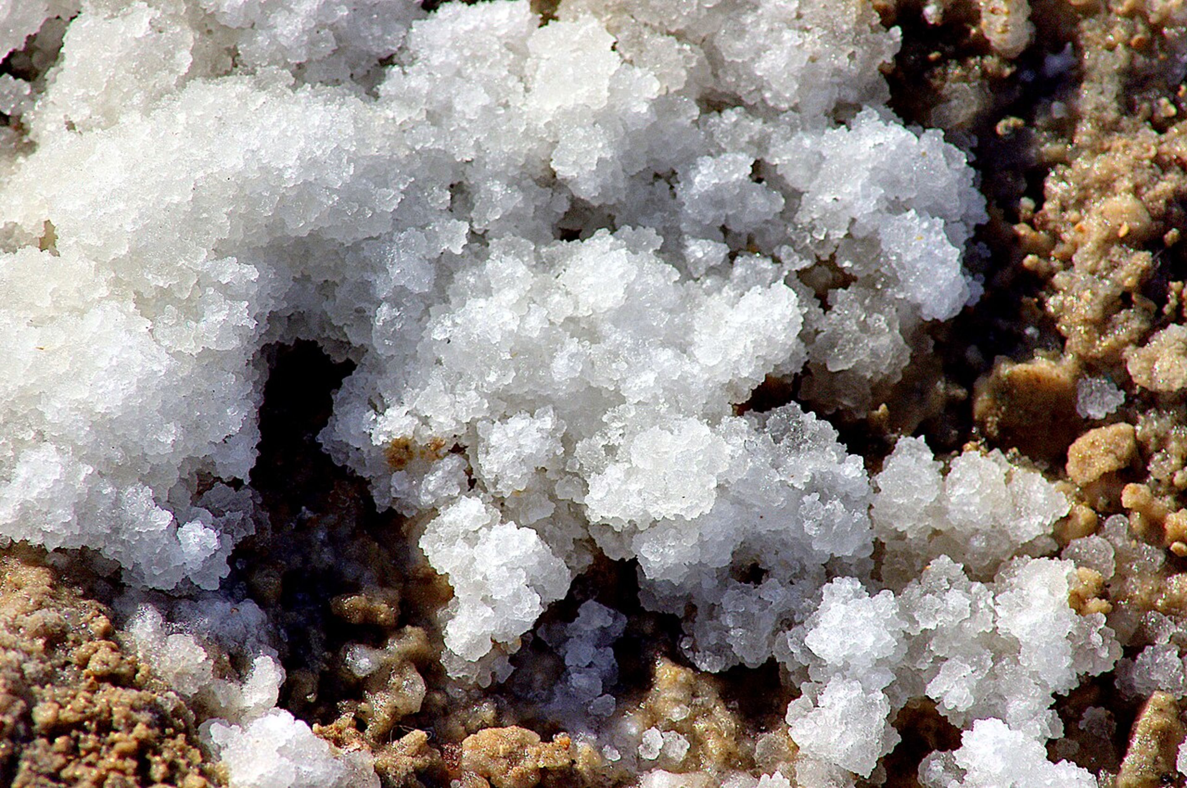 Dead Sea