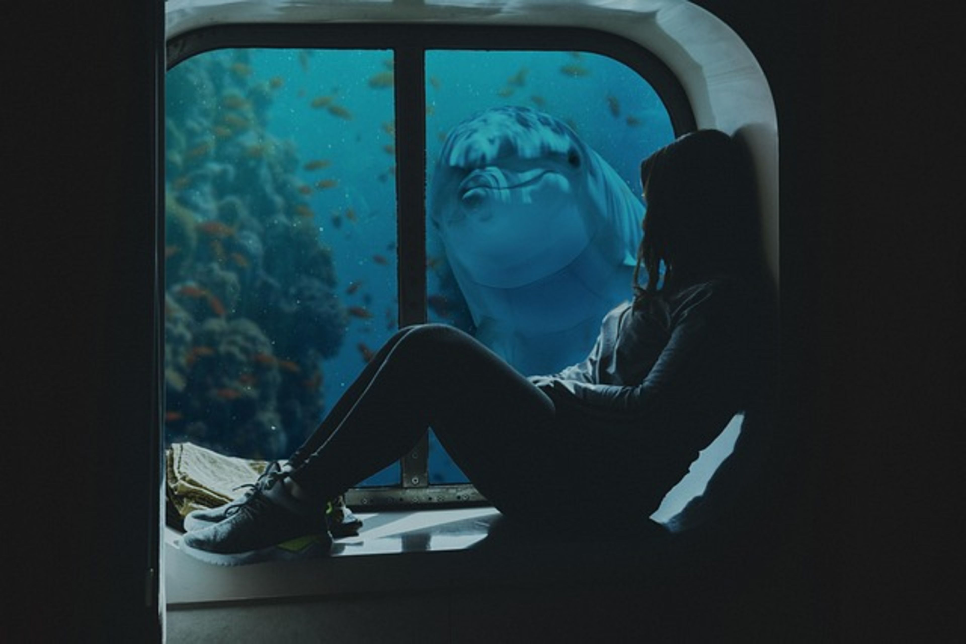 Curaçao Sea Aquarium