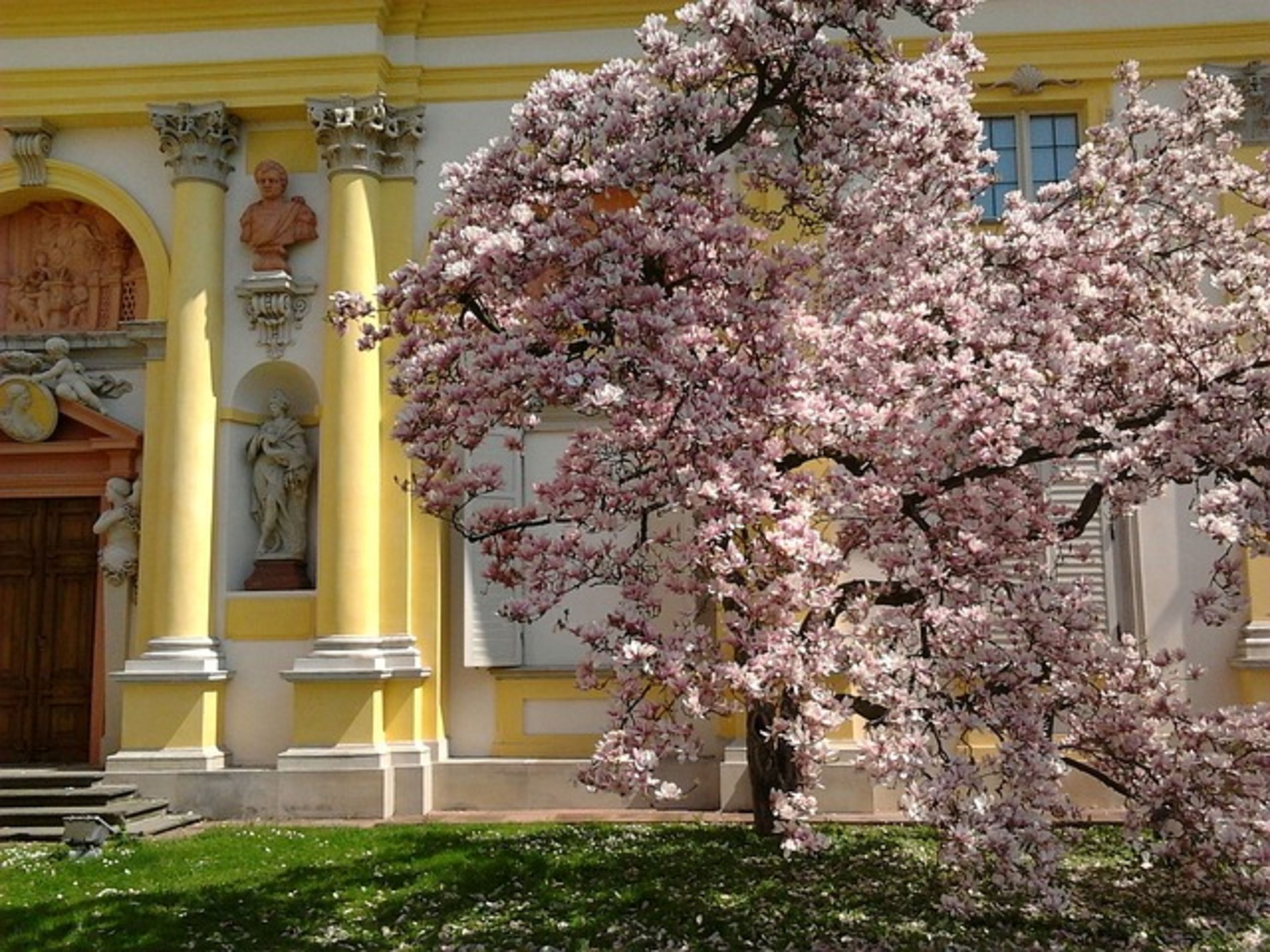 Wilanów Palace