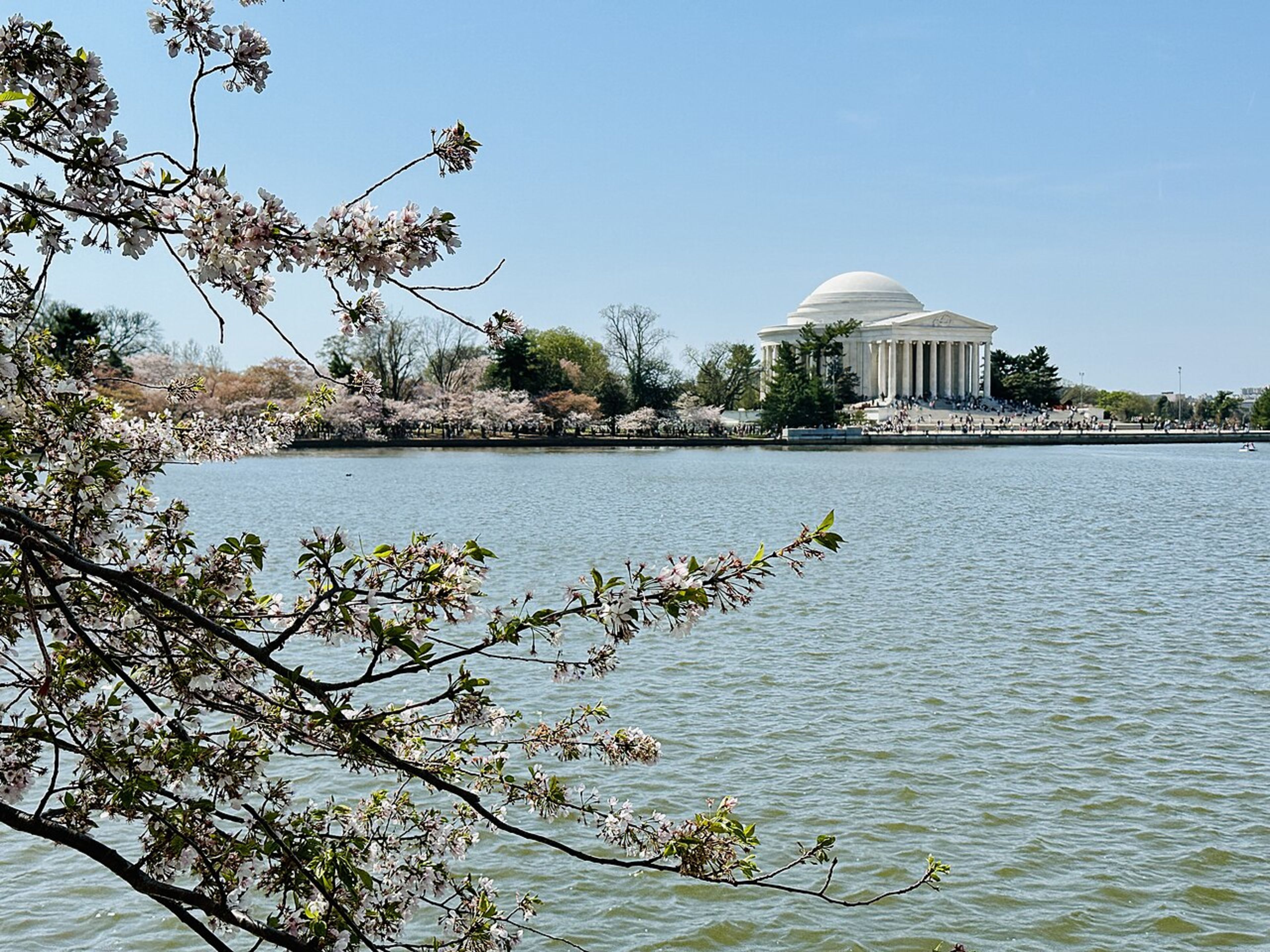 Jefferson Memorial