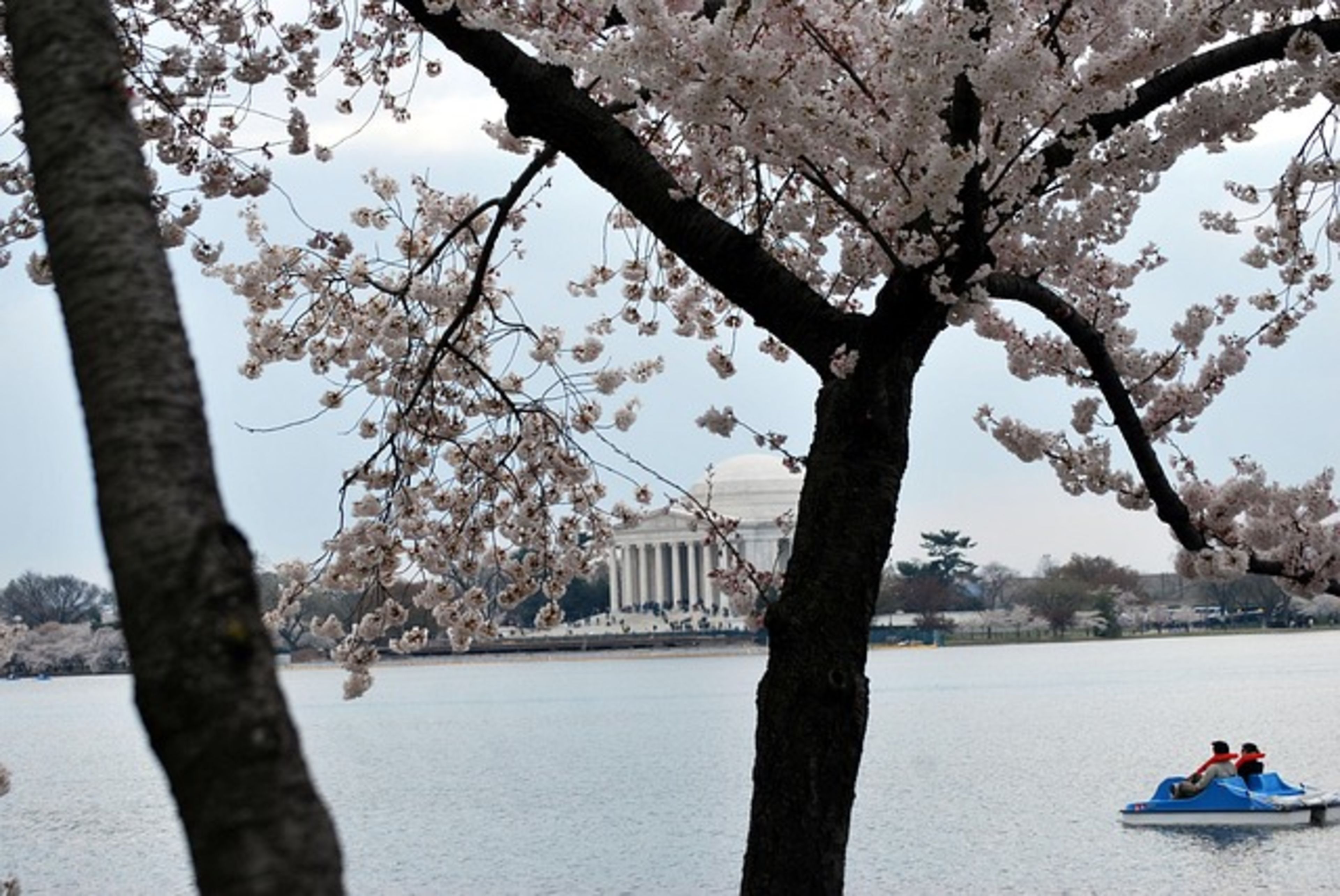 Jefferson Memorial