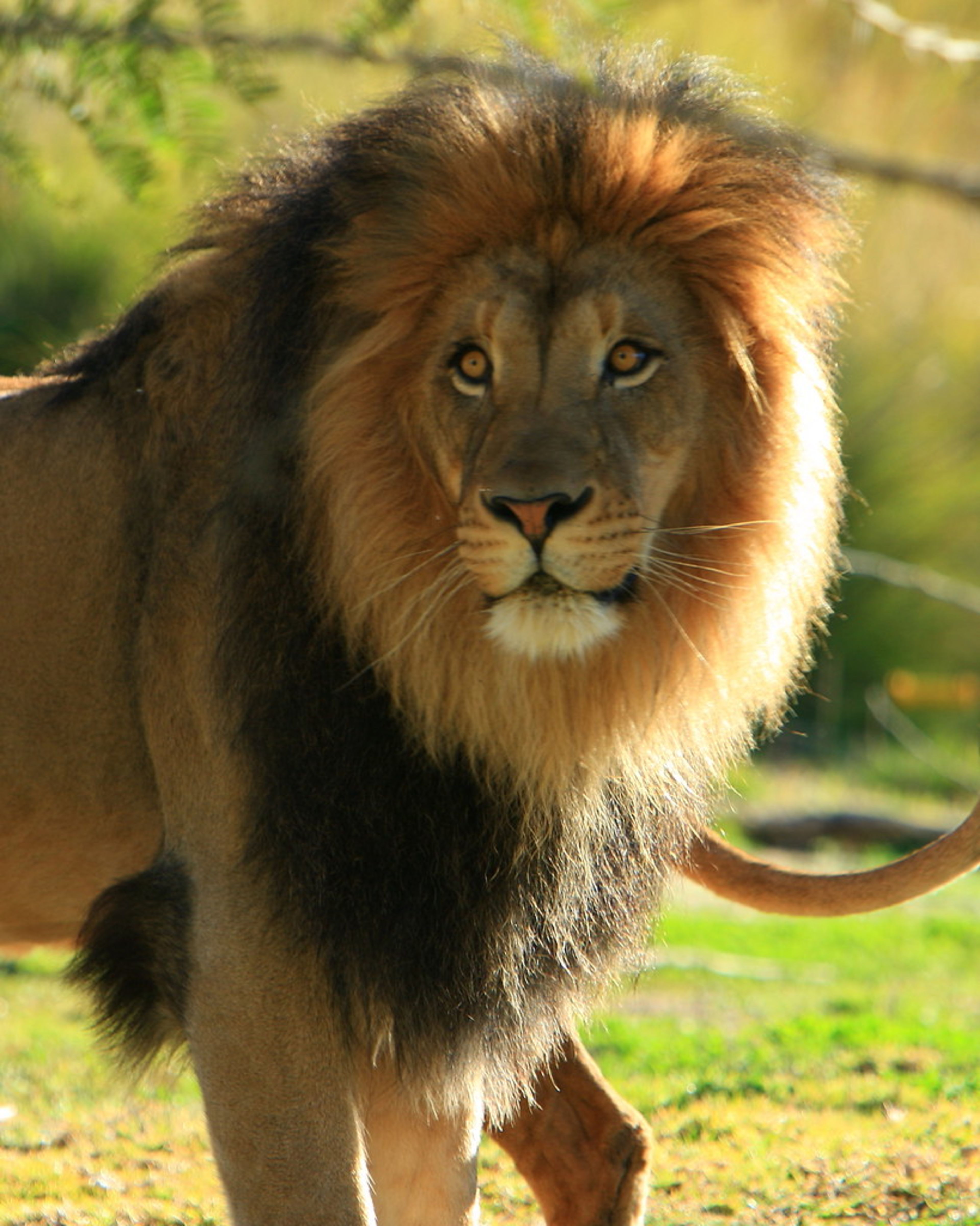 San Diego Zoo