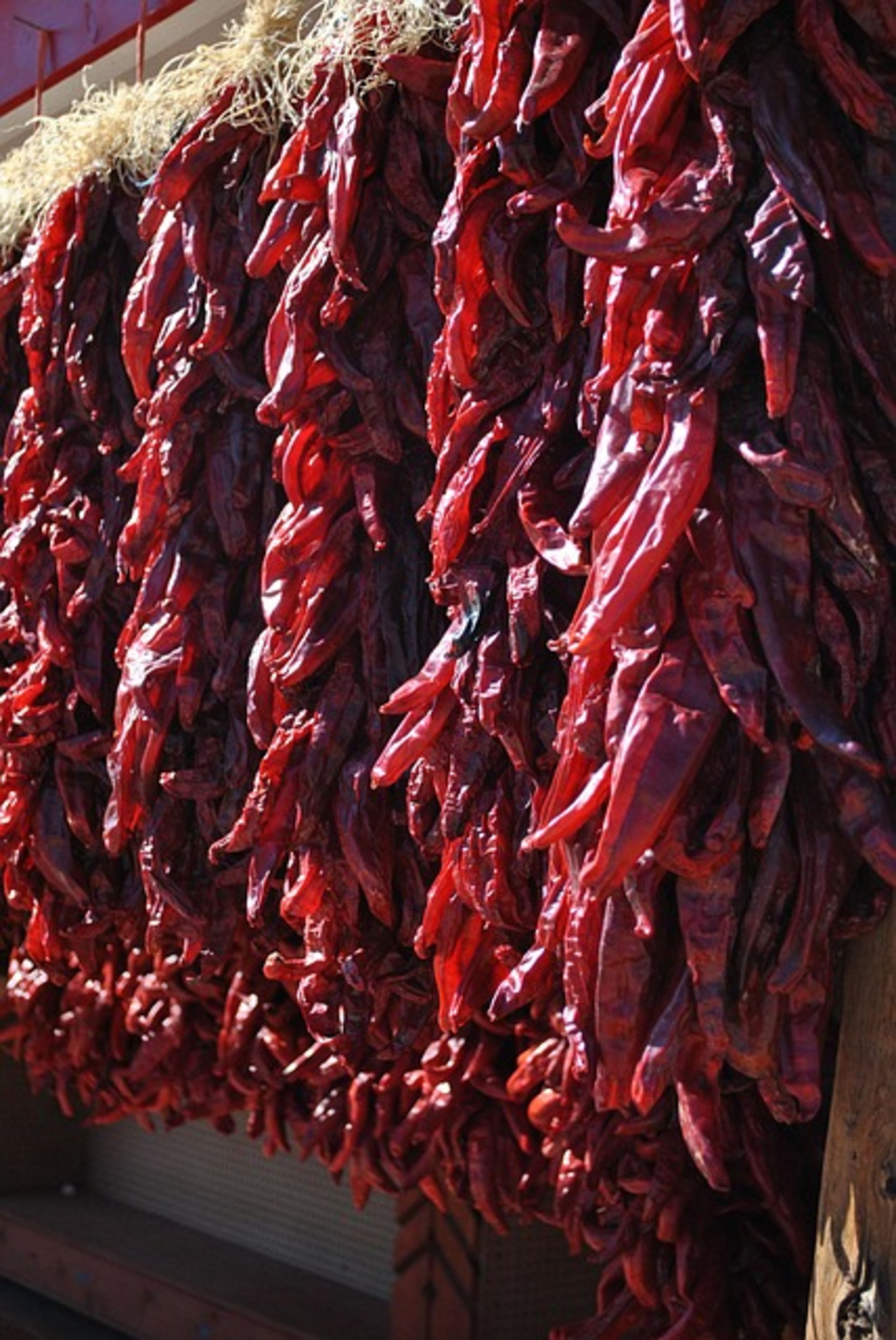 Santa Fe Plaza