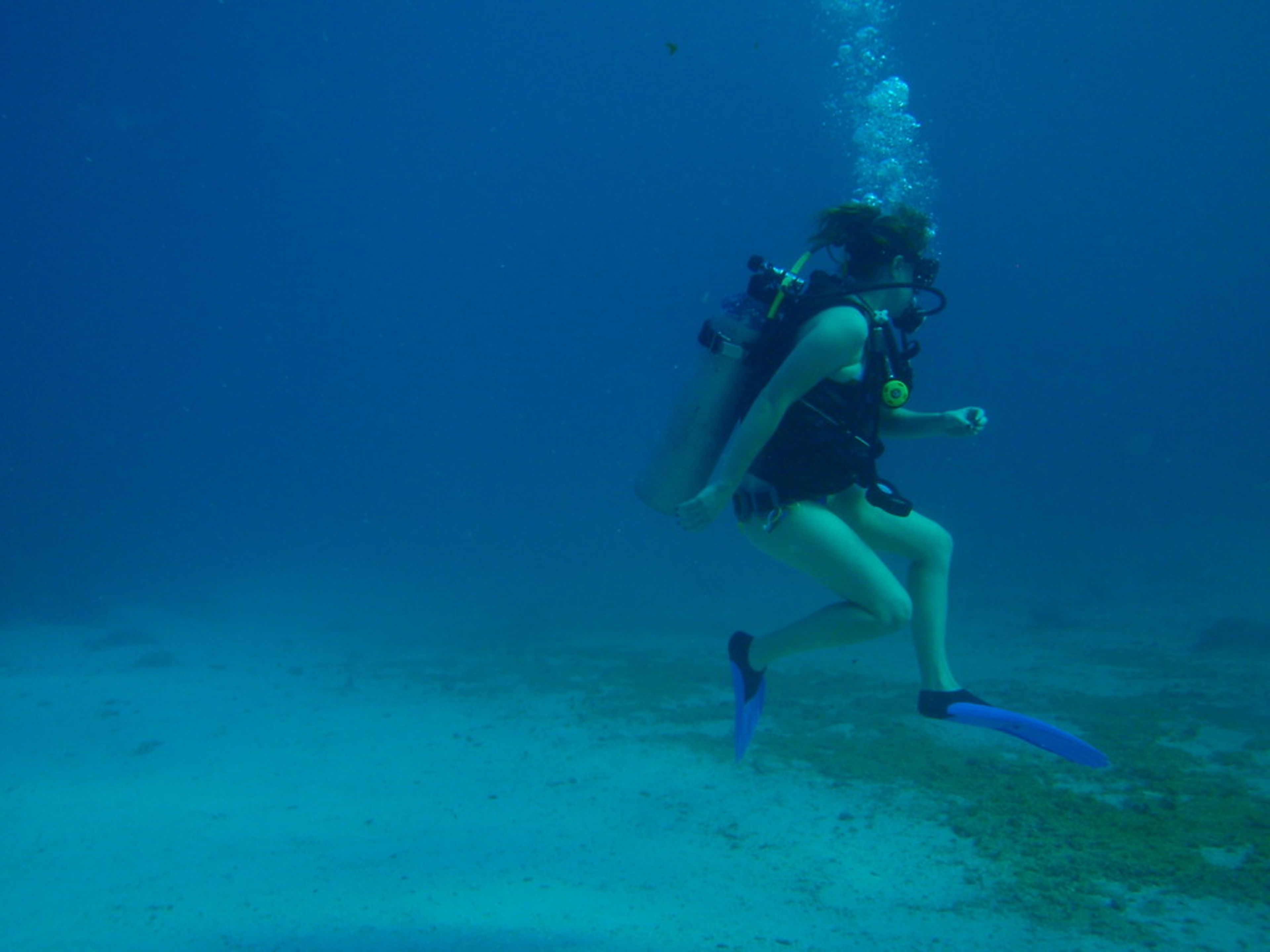 Belize Barrier Reef (UNESCO)