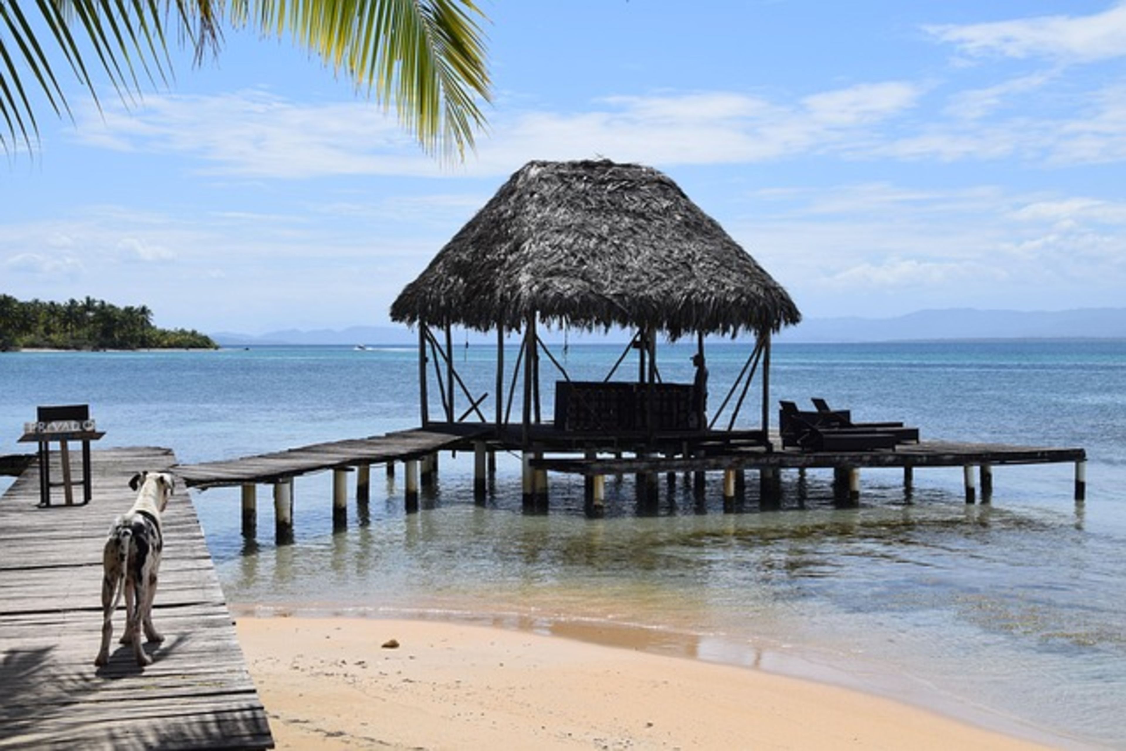 Dolphin Bay