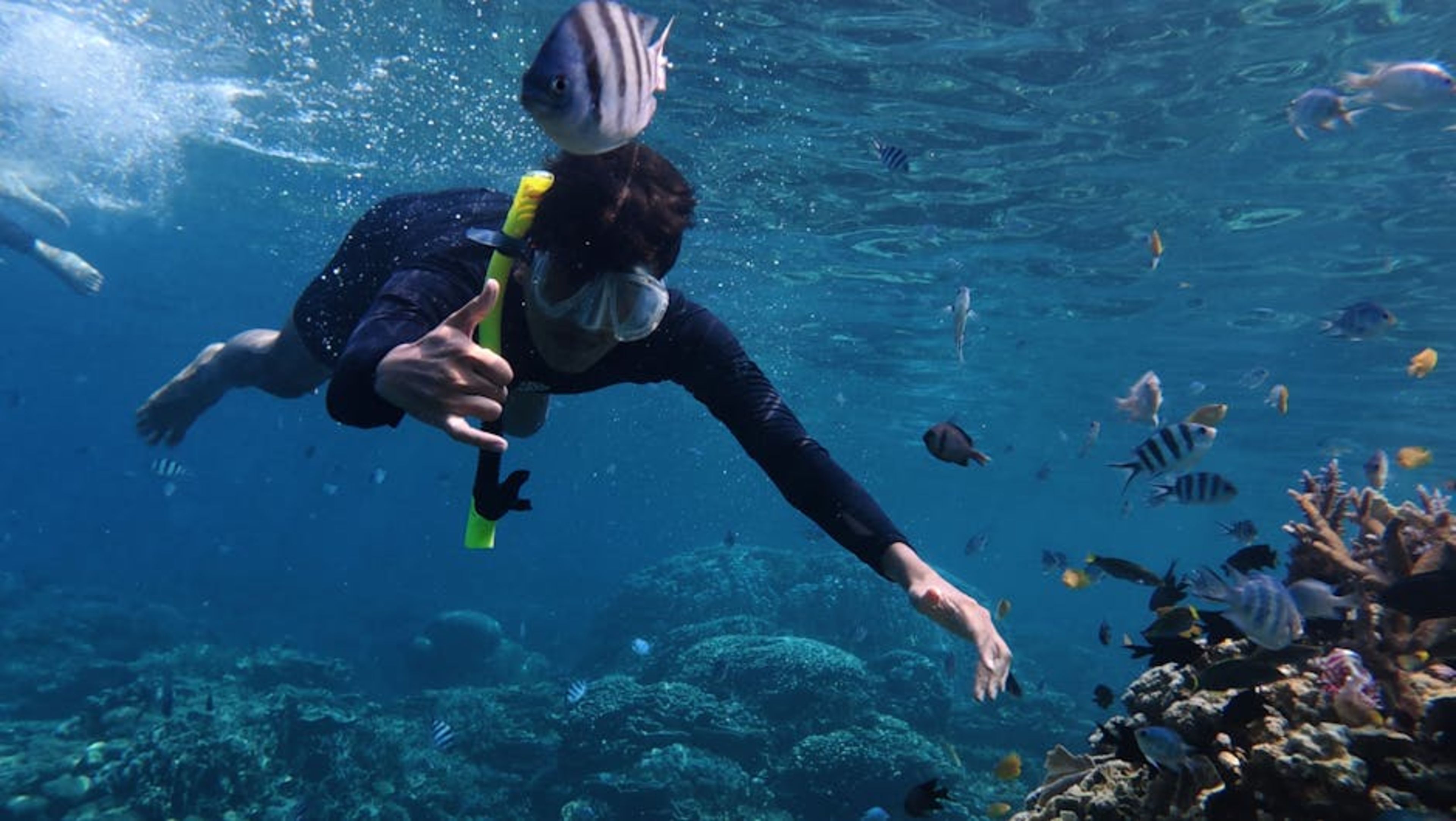 Roatán Marine Park
