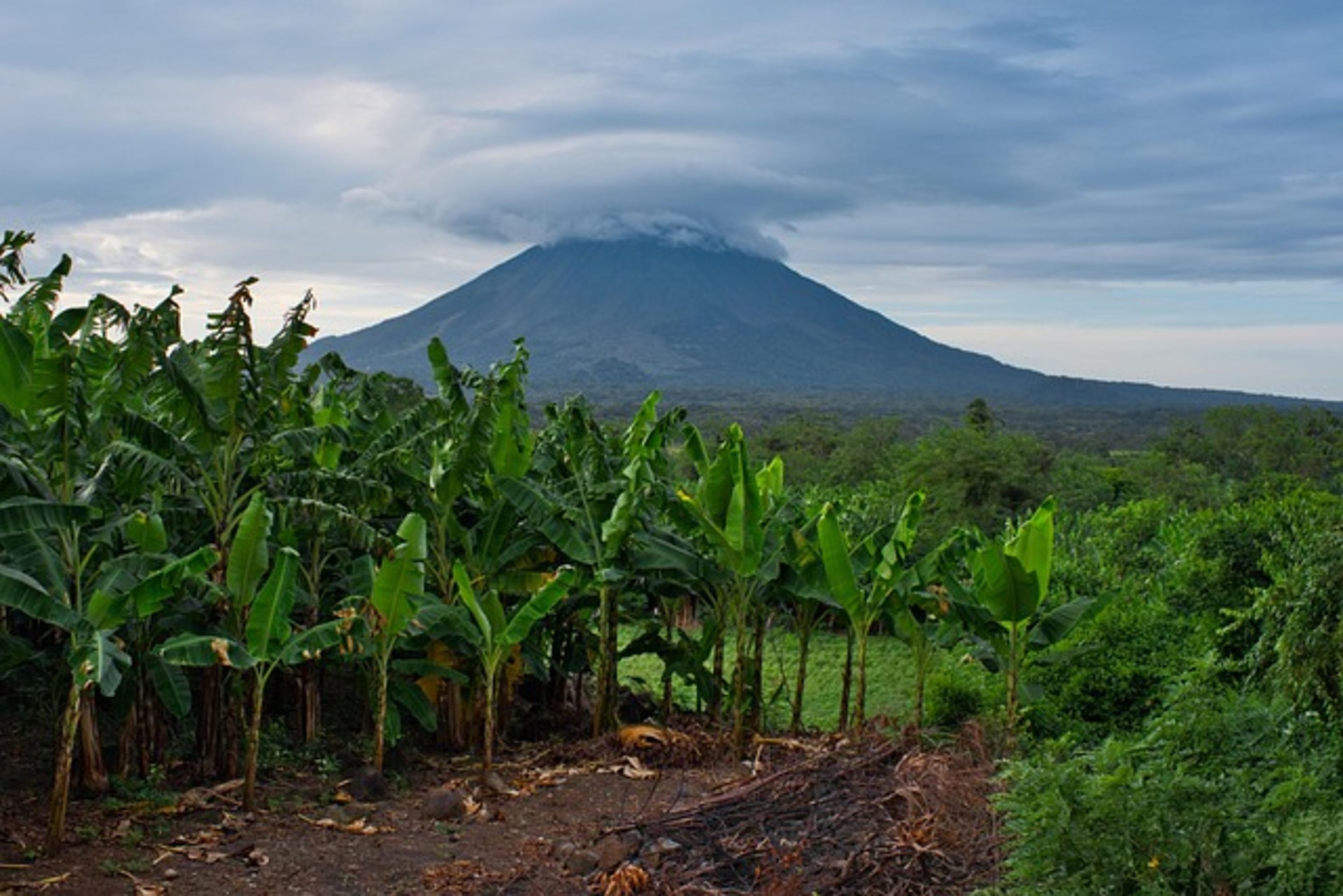 Cerro Negro Volcano (Sandboarding)