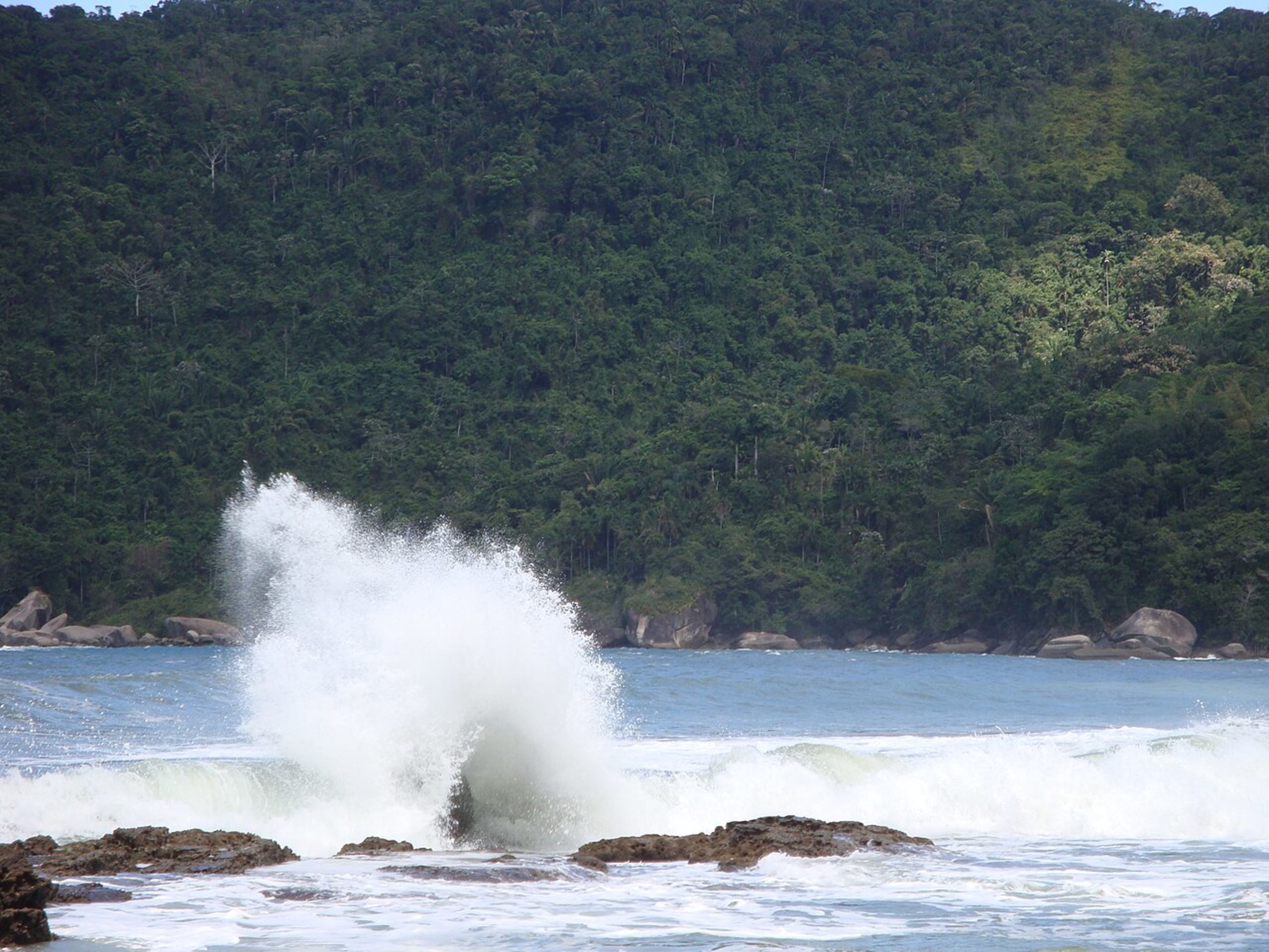 Trindade Beach (nearby)