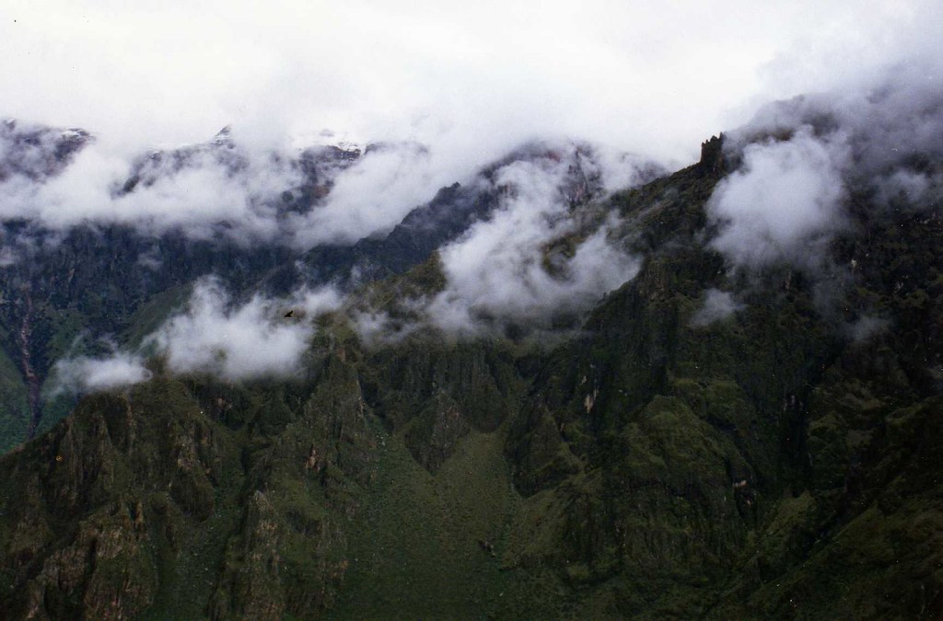 Colca Canyon (day/overnight trip)