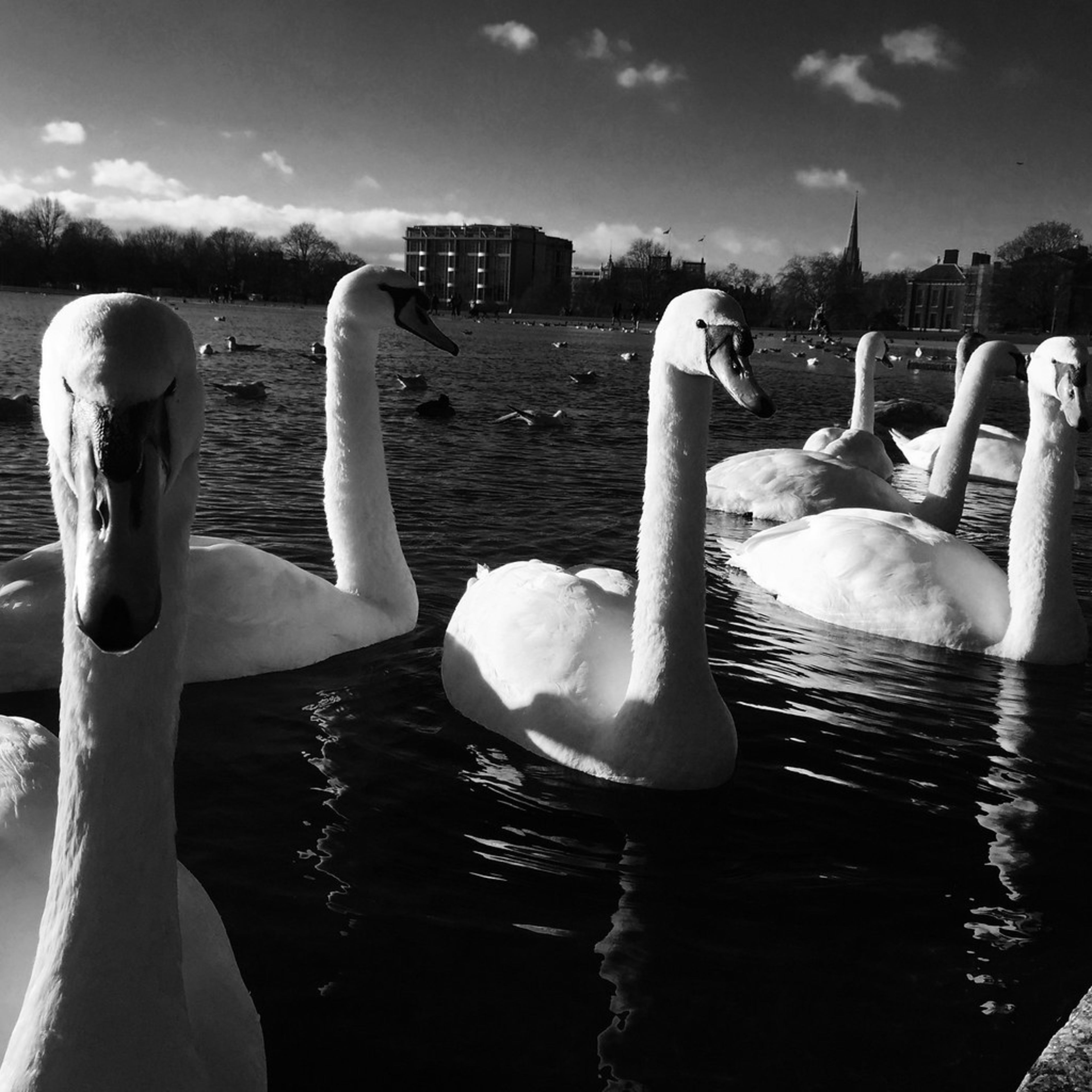 Kensington Gardens